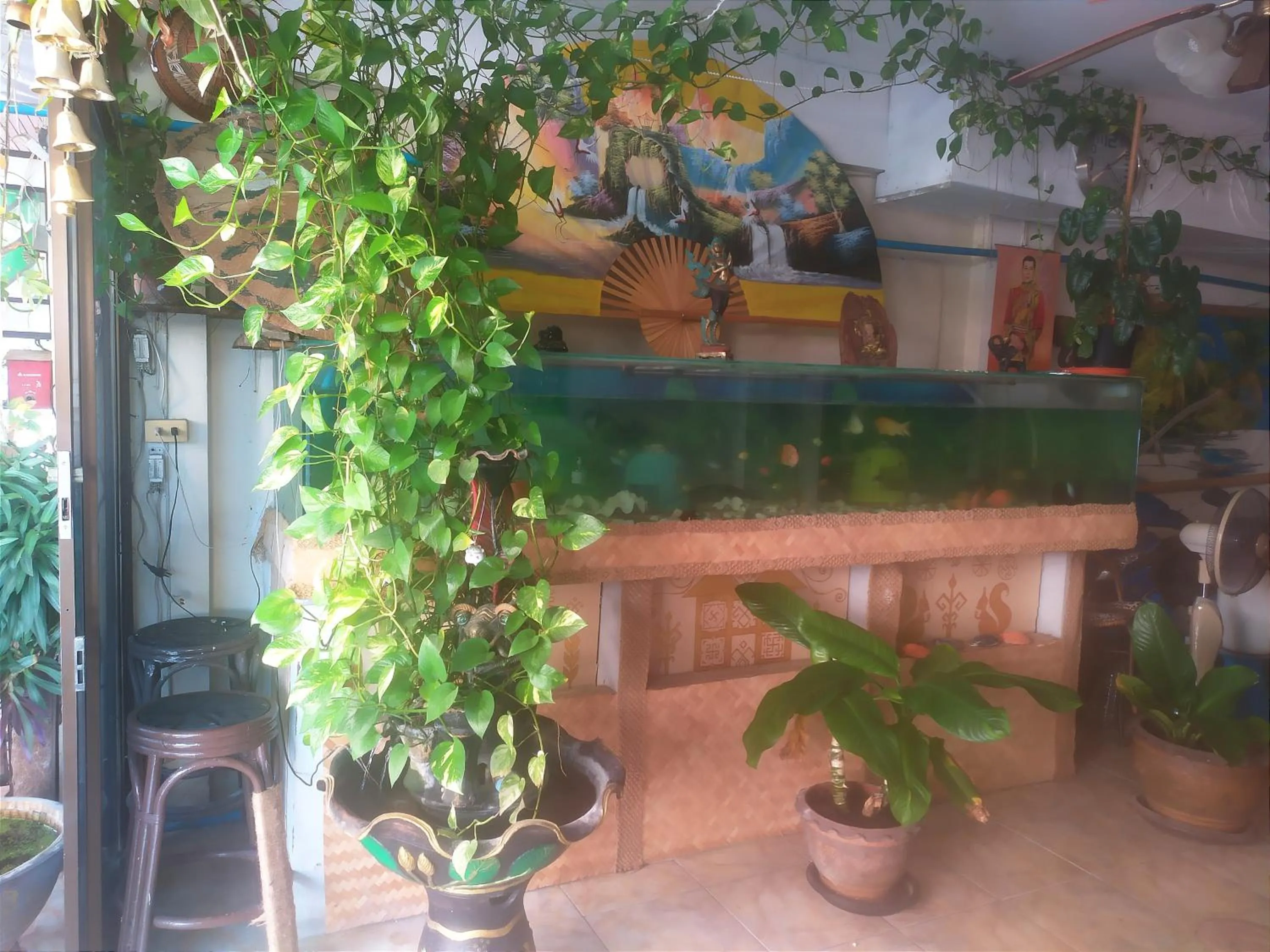 Property building in SV. HOUSE