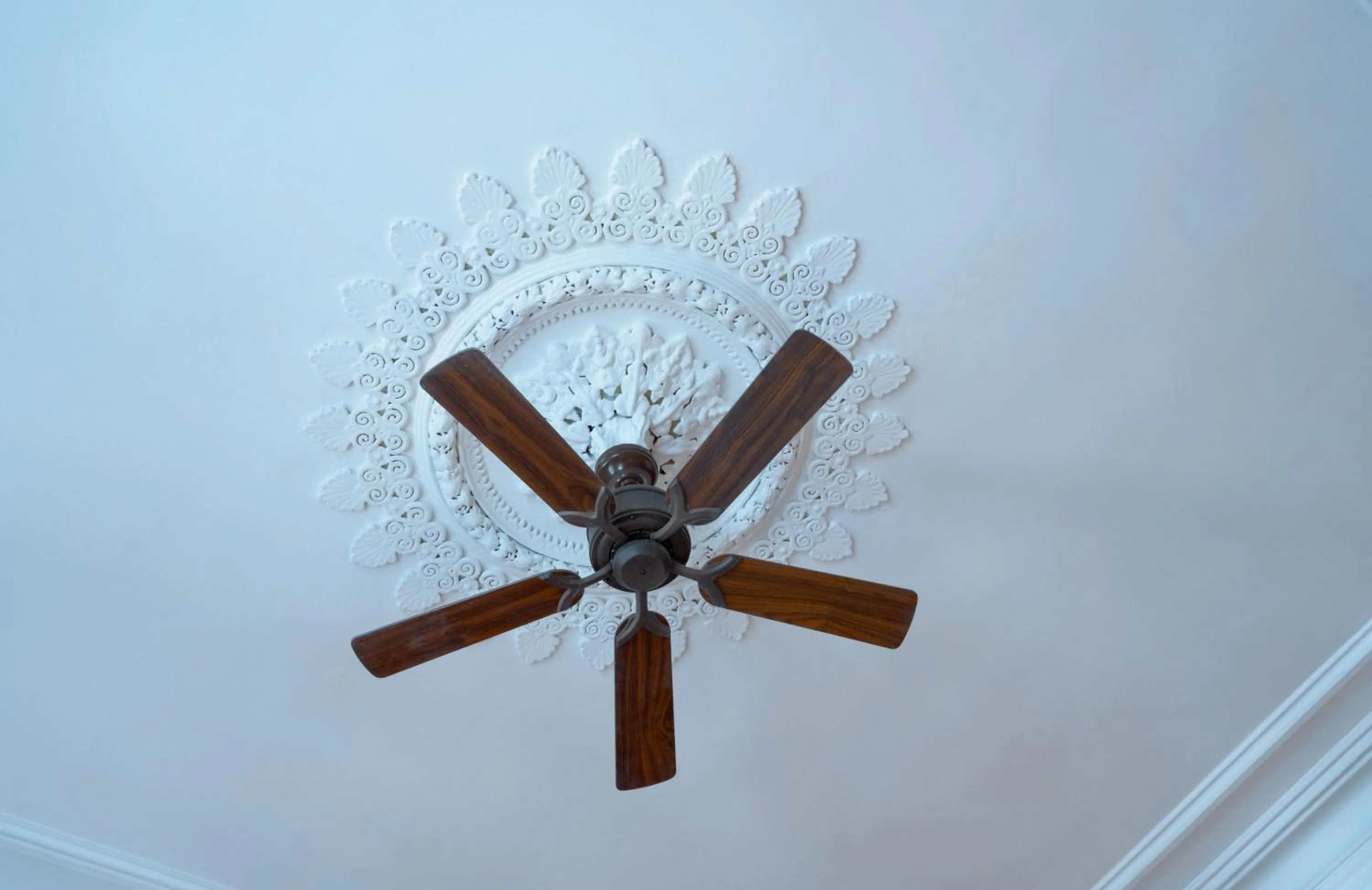 Property building in Domicil Hotel Bonn