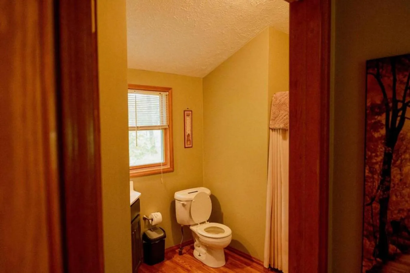 Cozy Cottage near Cook Forest Park, ANF