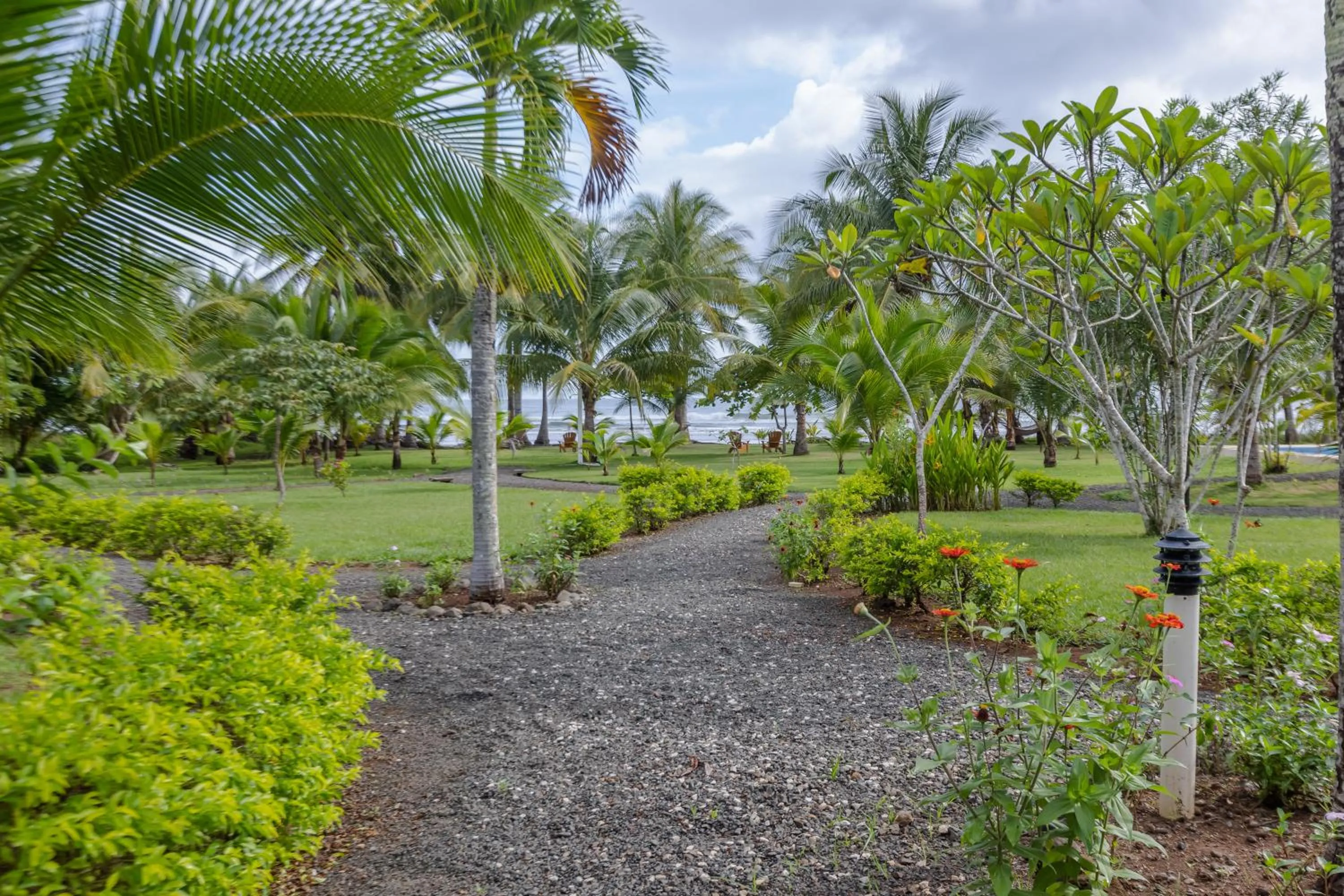Natural landscape in Salvatierra Beachfront Hotel