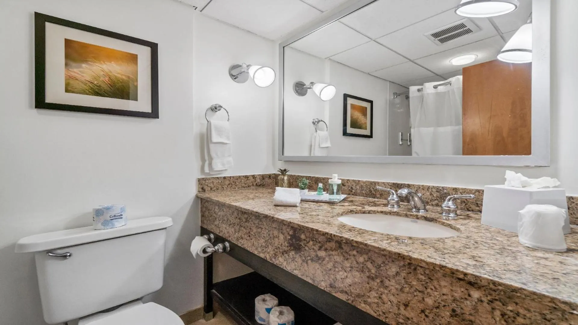 315 LoSo Hotel Airport