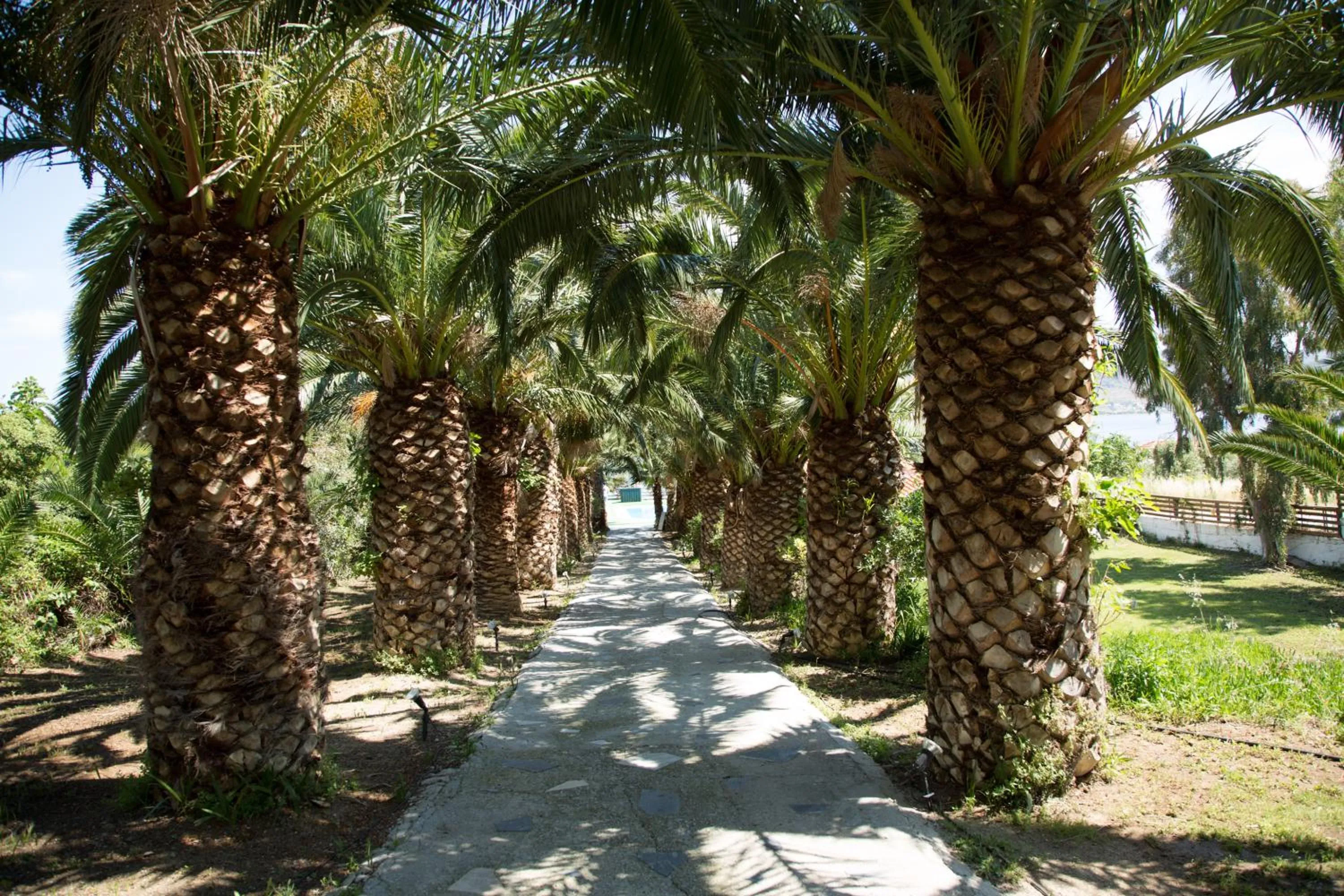 Natural landscape in Clara Resort