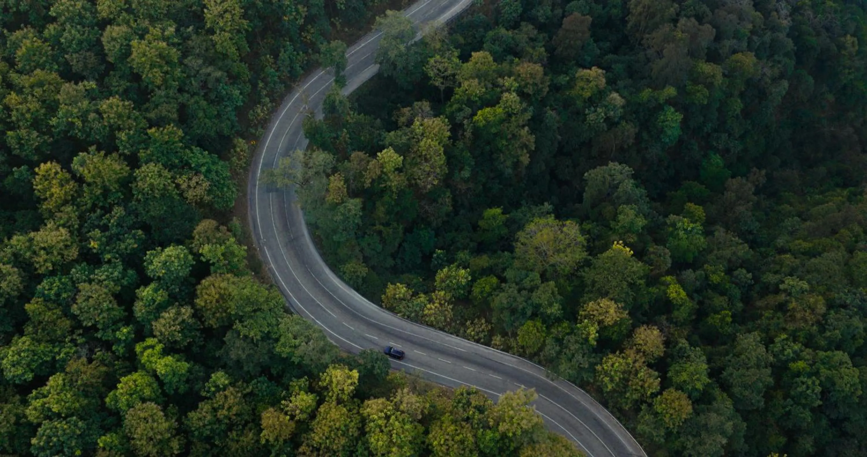 Neighbourhood in The Westin Resort & Spa Himalayas
