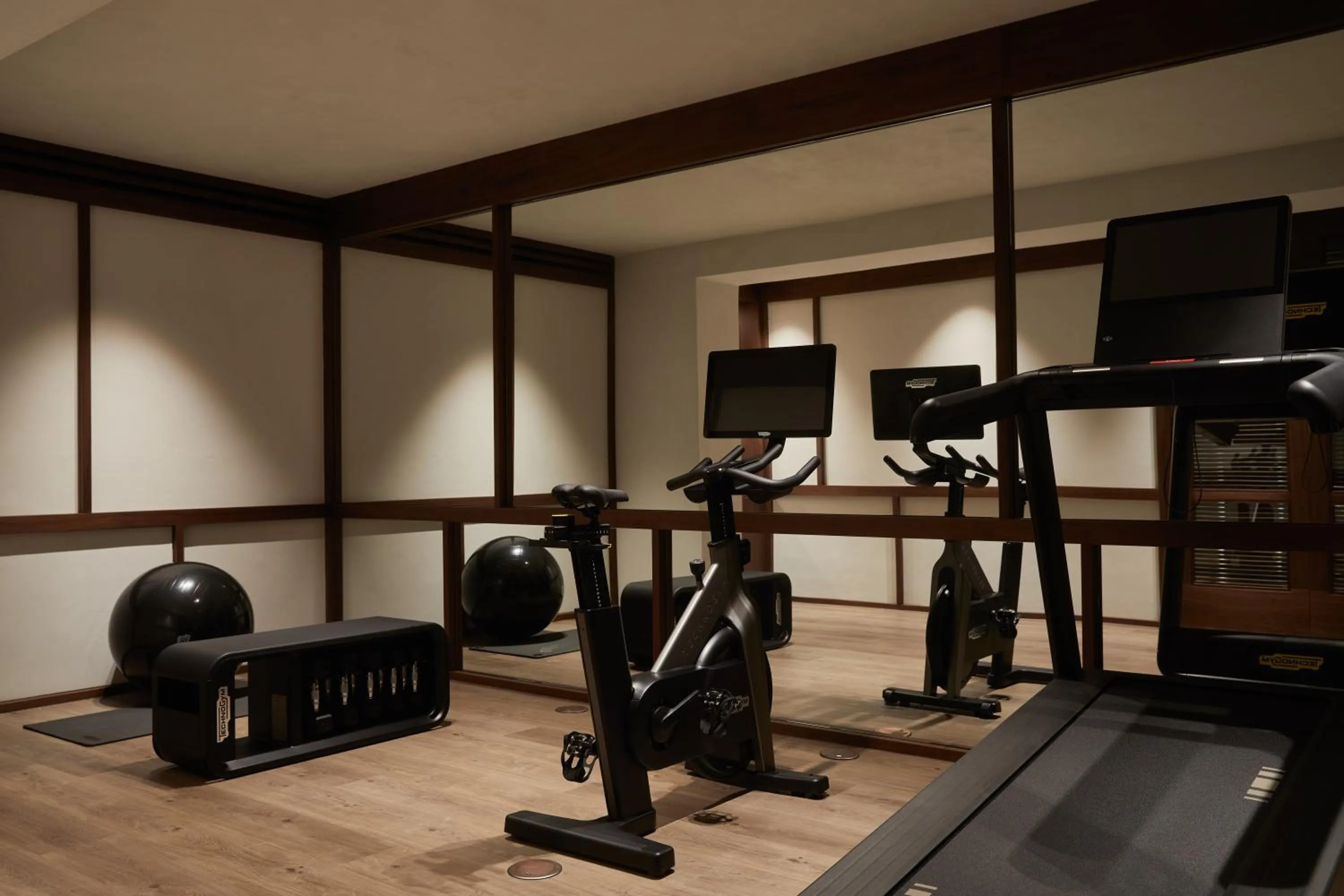 Fitness centre/facilities in Anandes Hotel