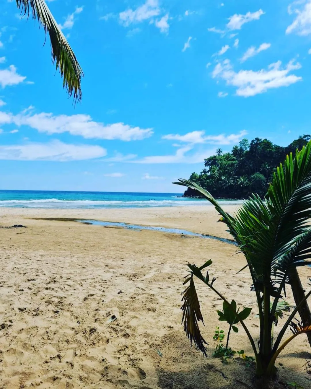 Beach in Serendip Villa Holiday Home Talalla Sri Lanka