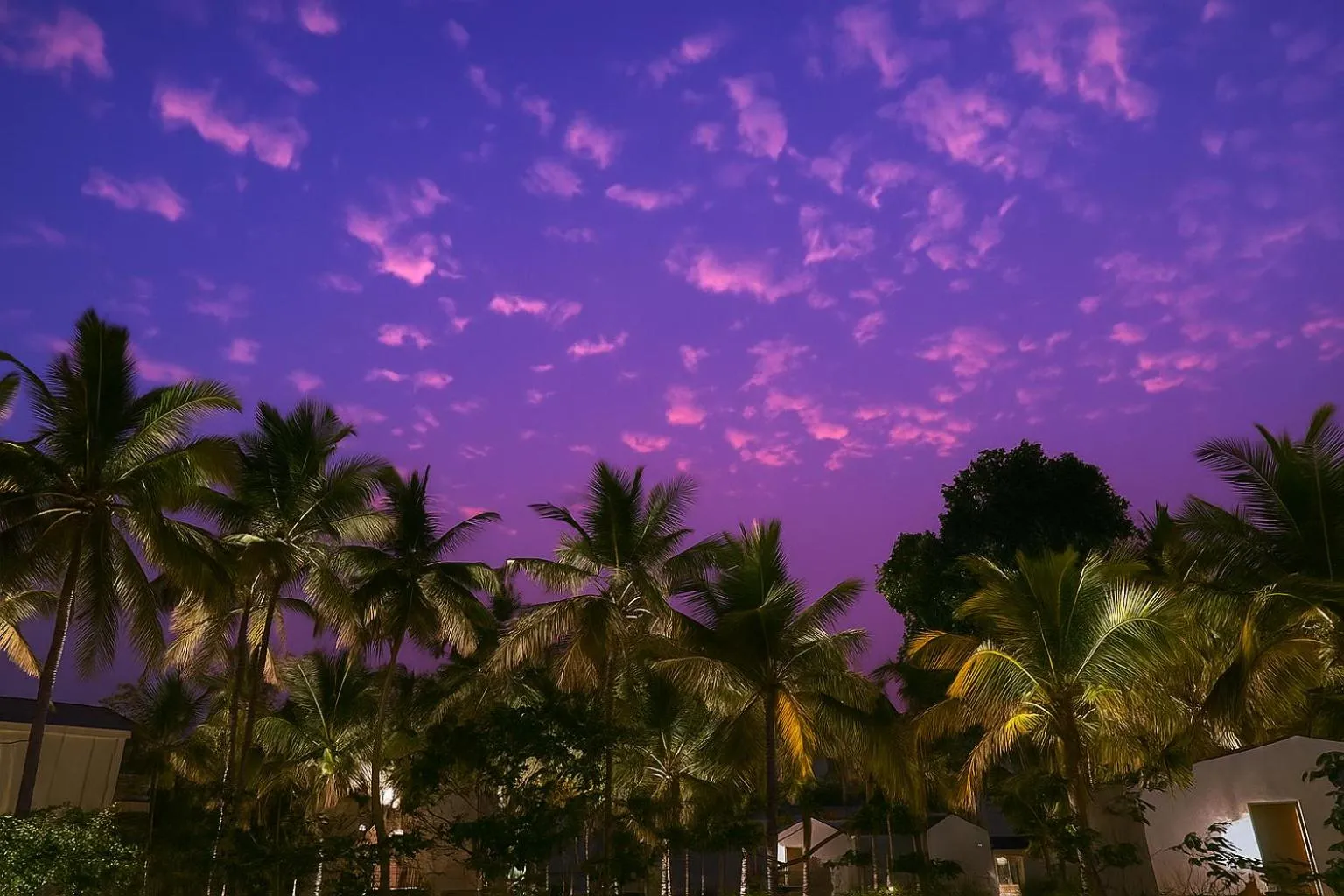 Night in The Postcard on the Arabian Sea, Maravanthe Beach