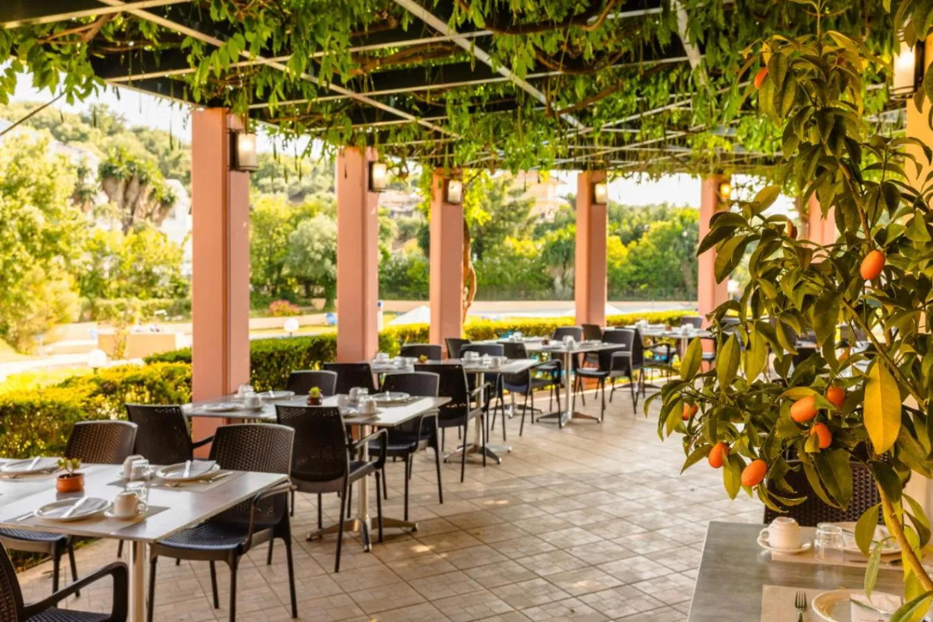 Restaurant/places to eat in Century Resort