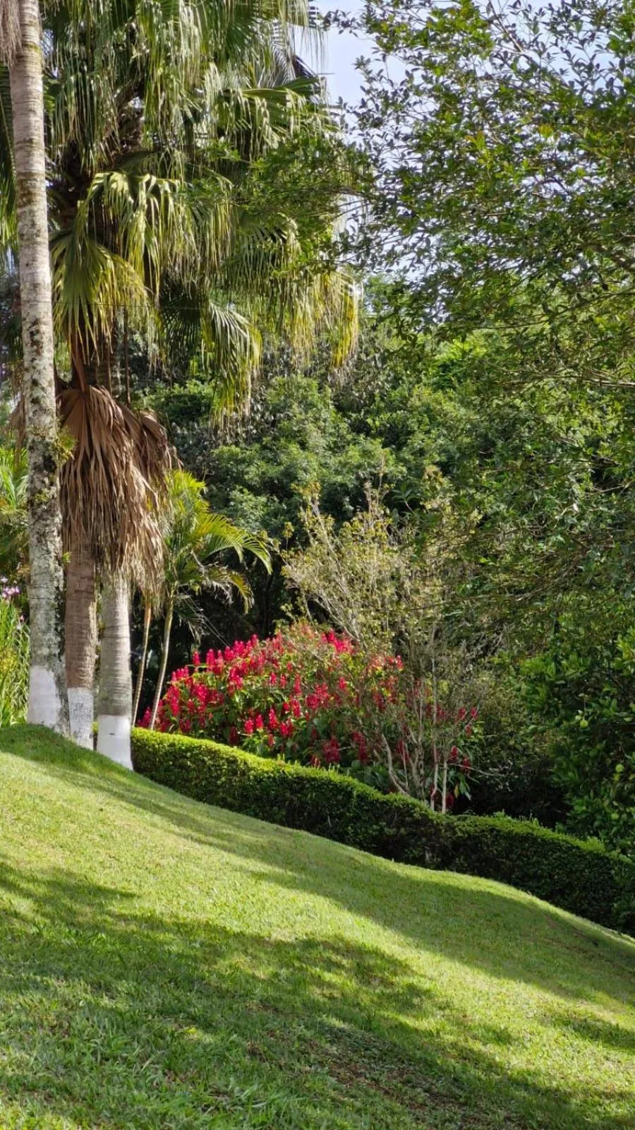 Natural landscape in Pousada Boutique Mercedes