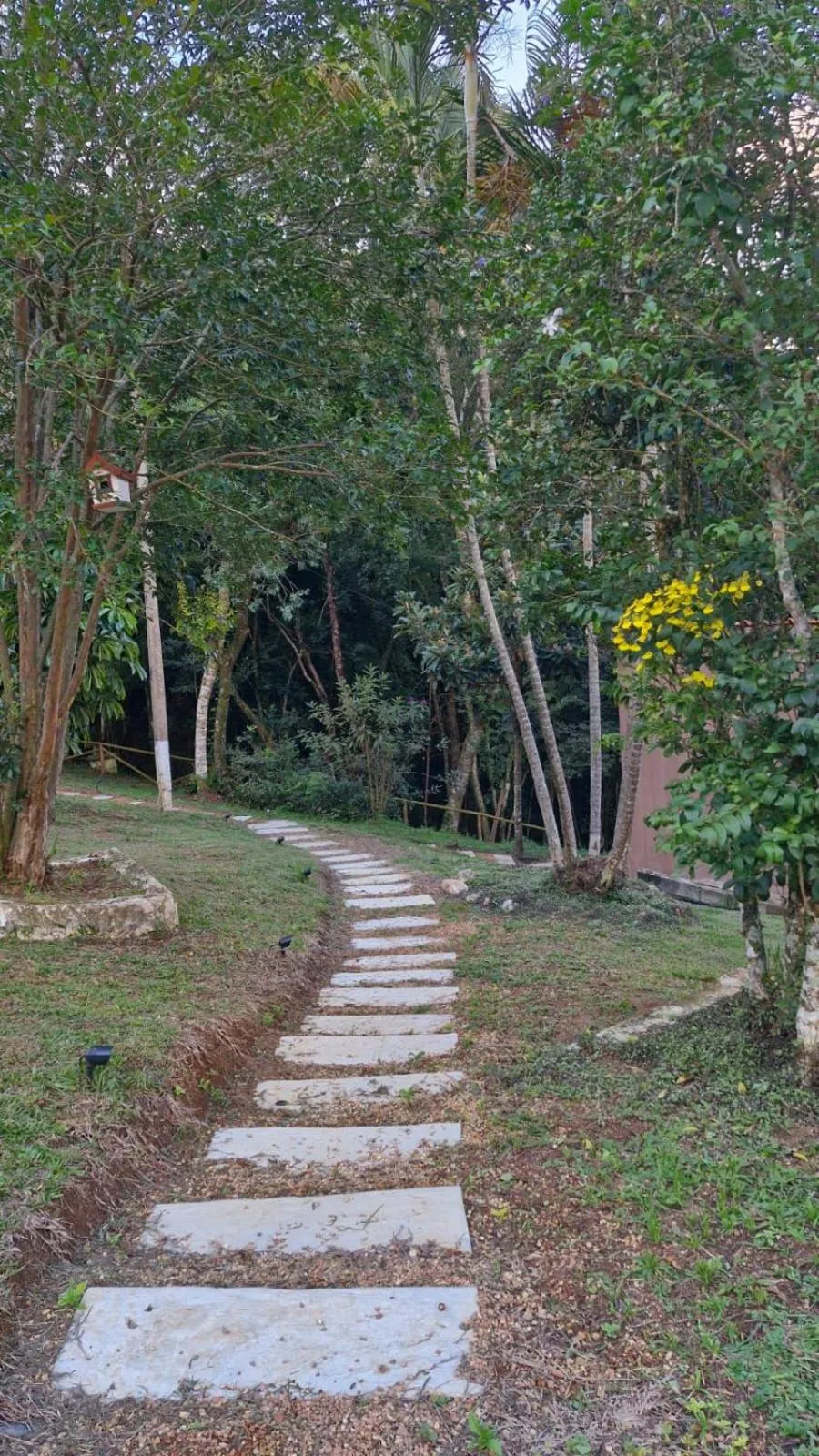 Garden view in Pousada Boutique Mercedes