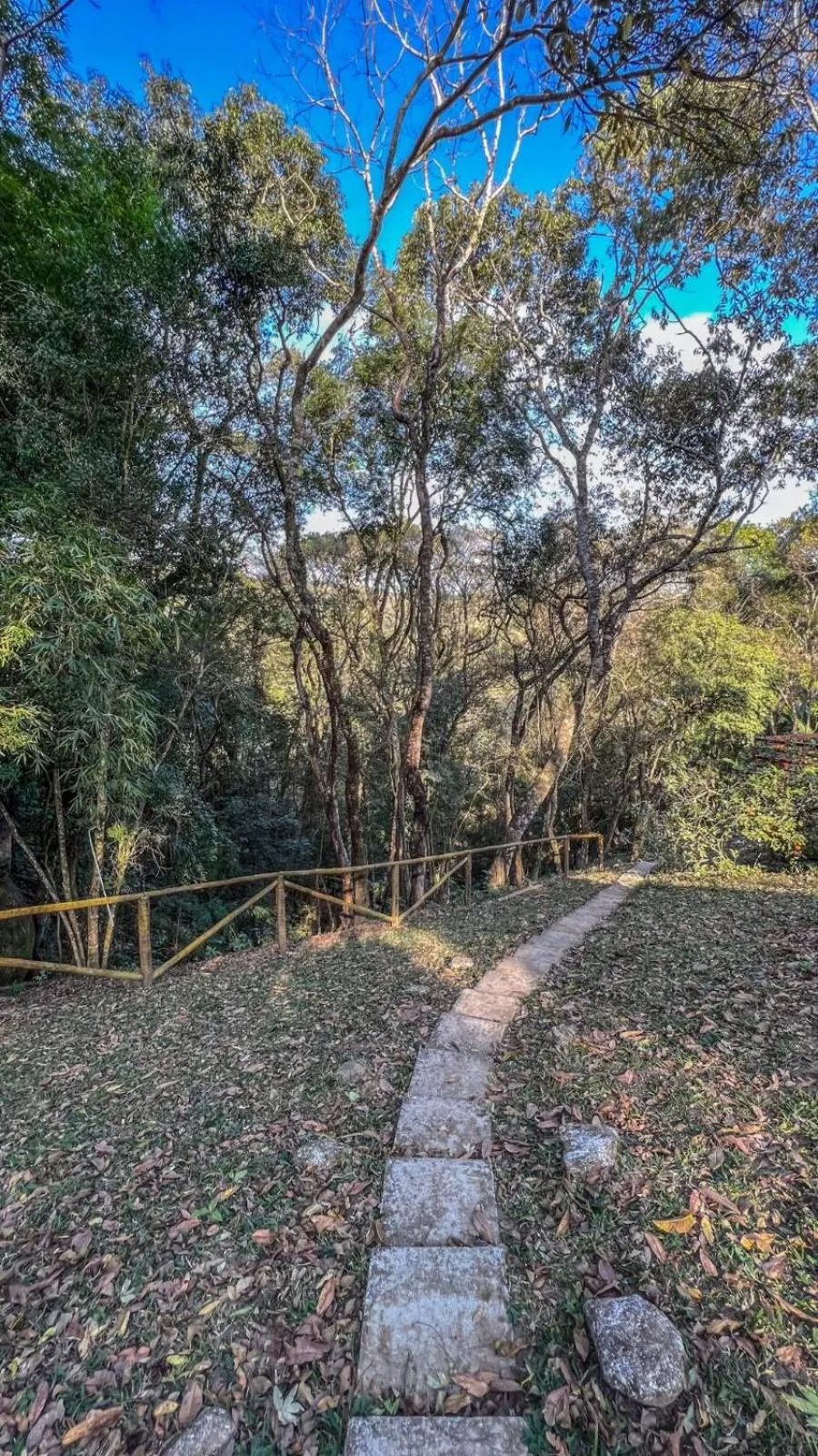 Garden in Pousada Boutique Mercedes