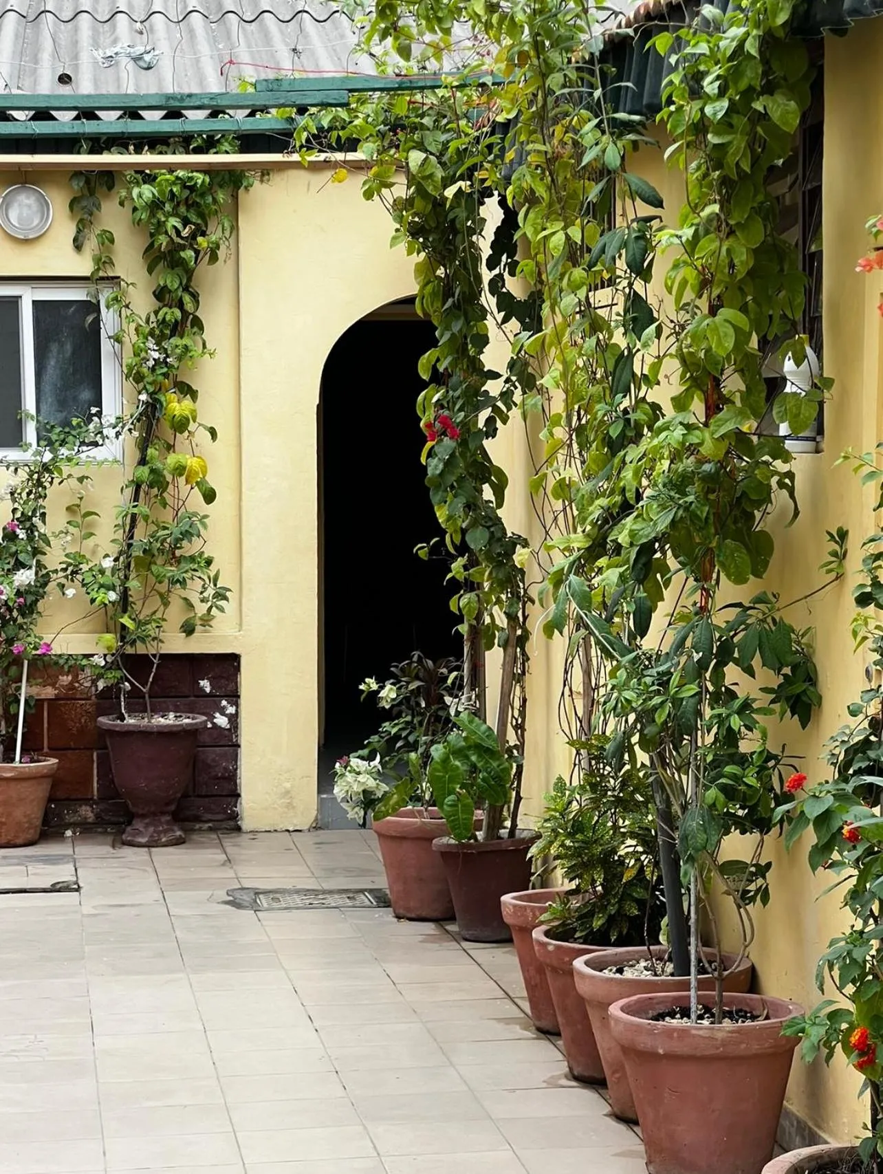 Hôtel Provençal