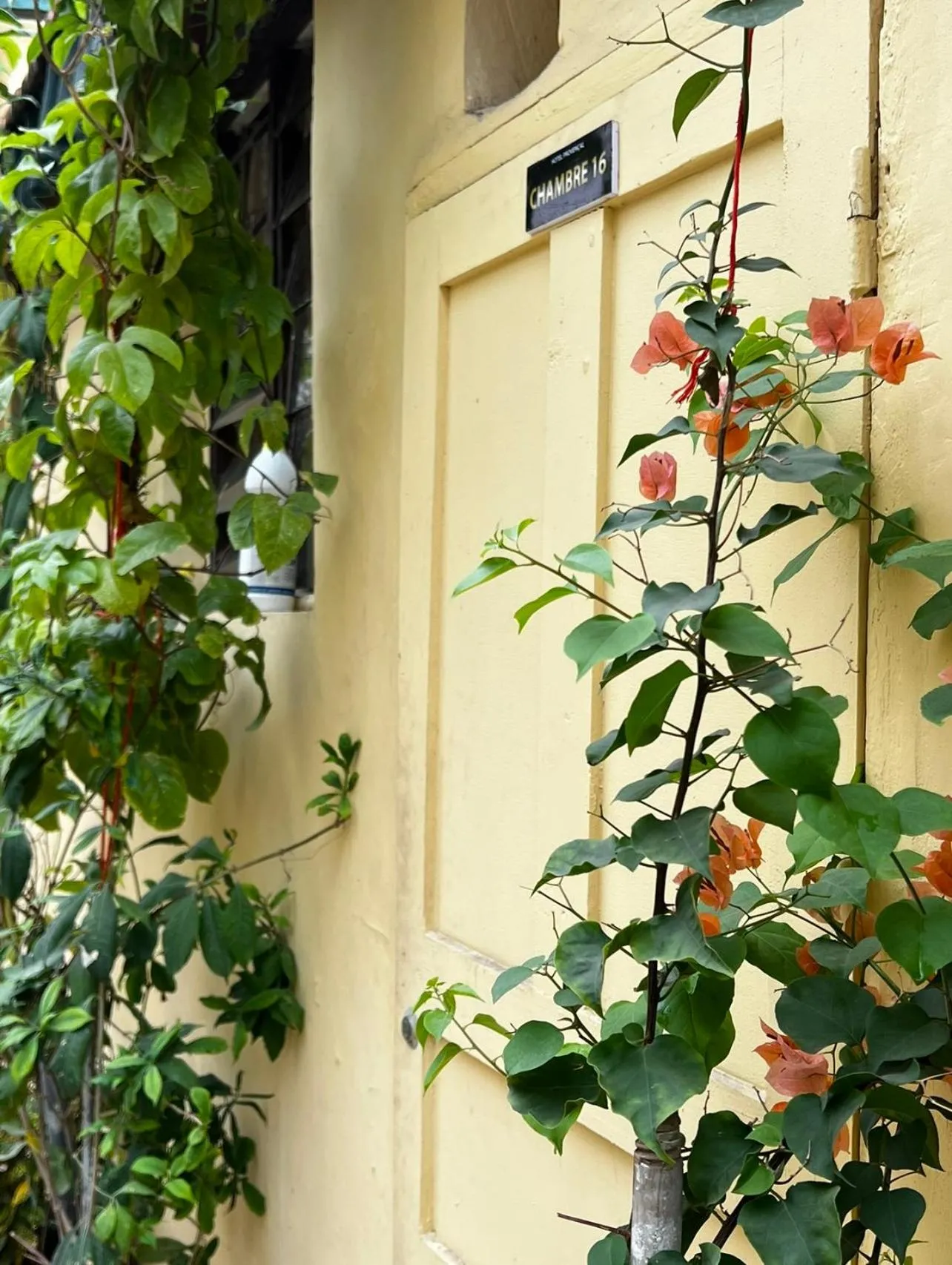 Hôtel Provençal