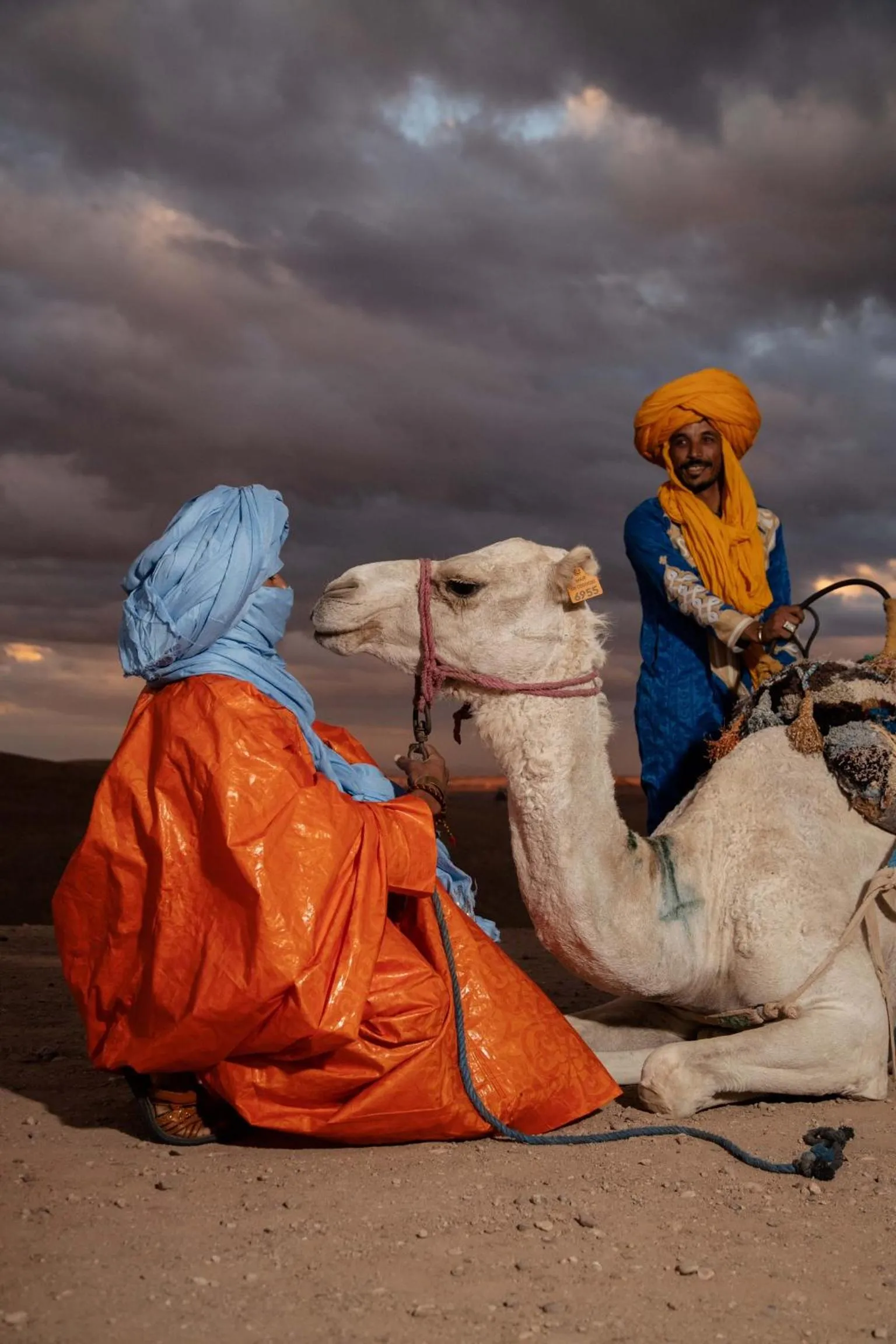 Animals in Alkamar Camp Agafay