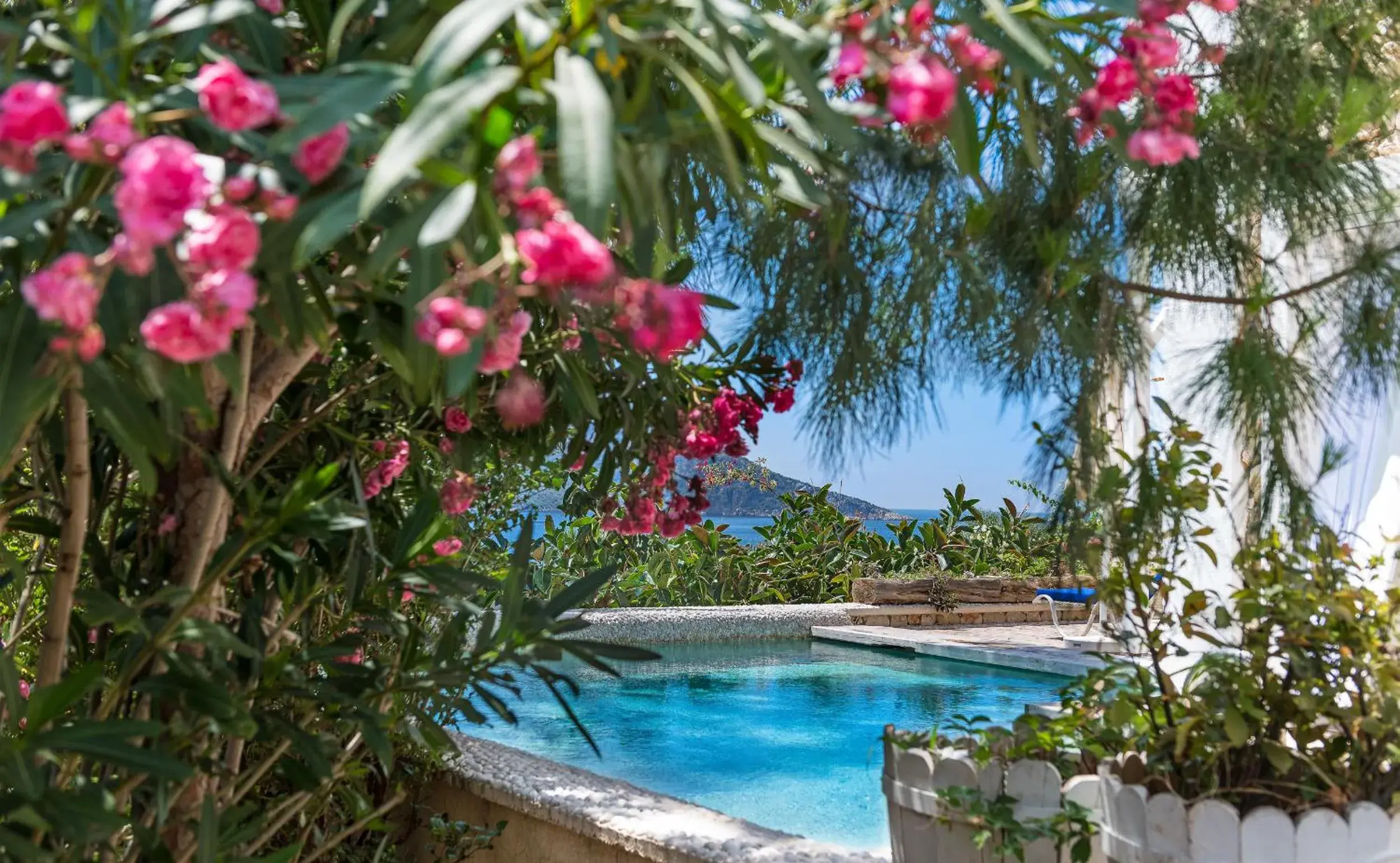 Garden view in Likya Gardens Hotel Garden view in Likya Gardens Hotel