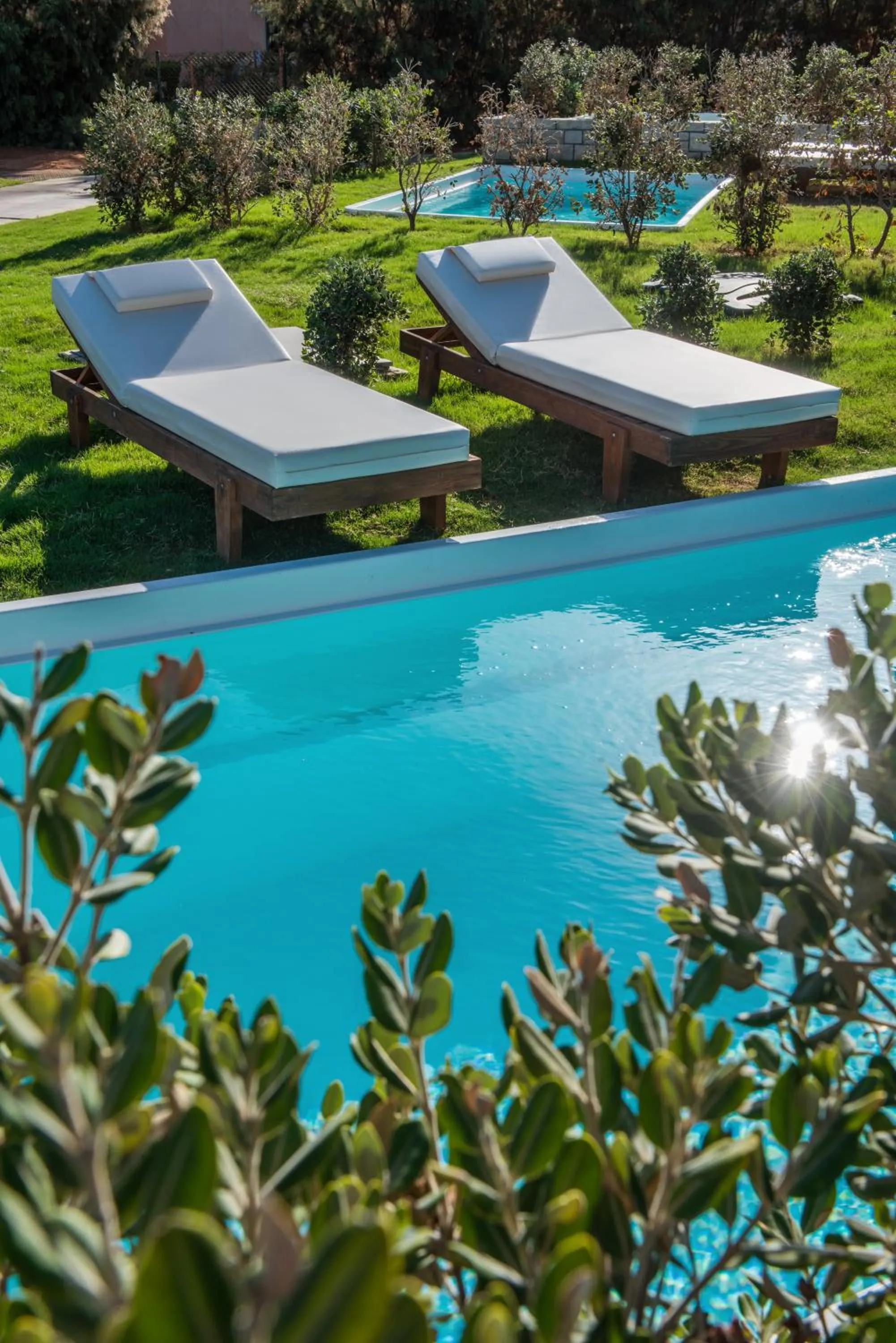 Garden in Bella Beach Hotel