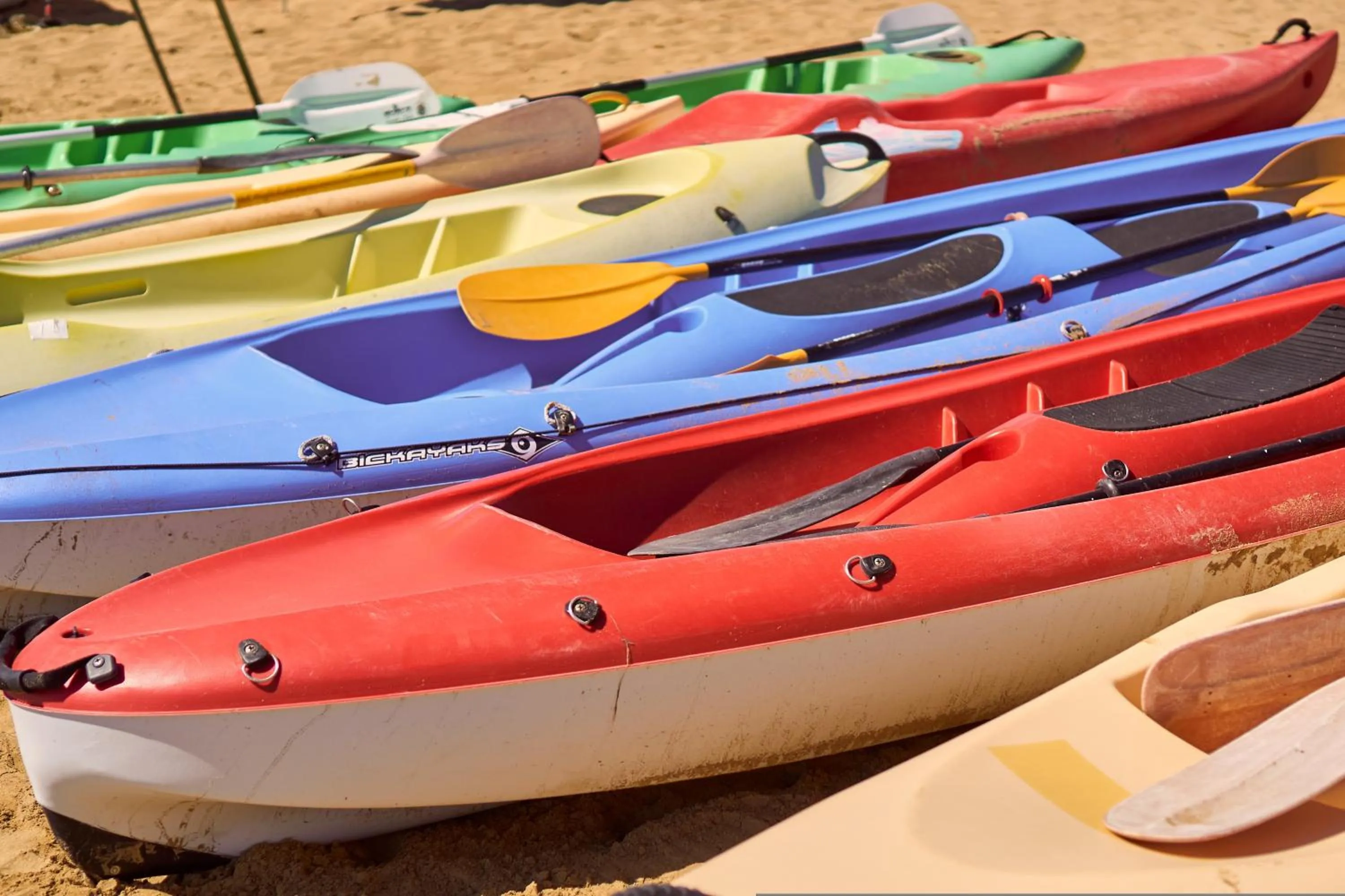 Area and facilities in Seaside welcoming flat next to the beach - Beahost