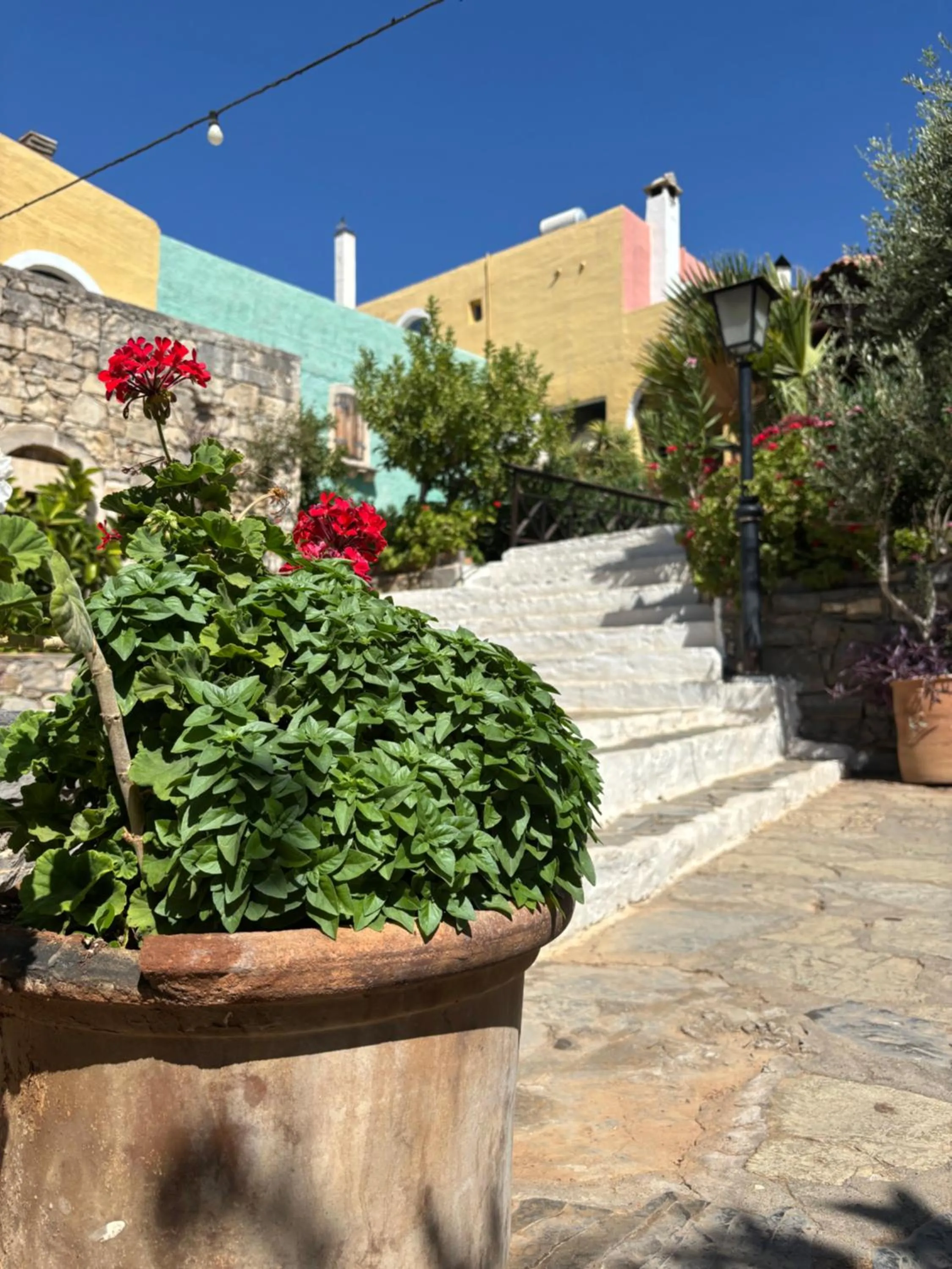 Spring in Arolithos Traditional Village Hotel