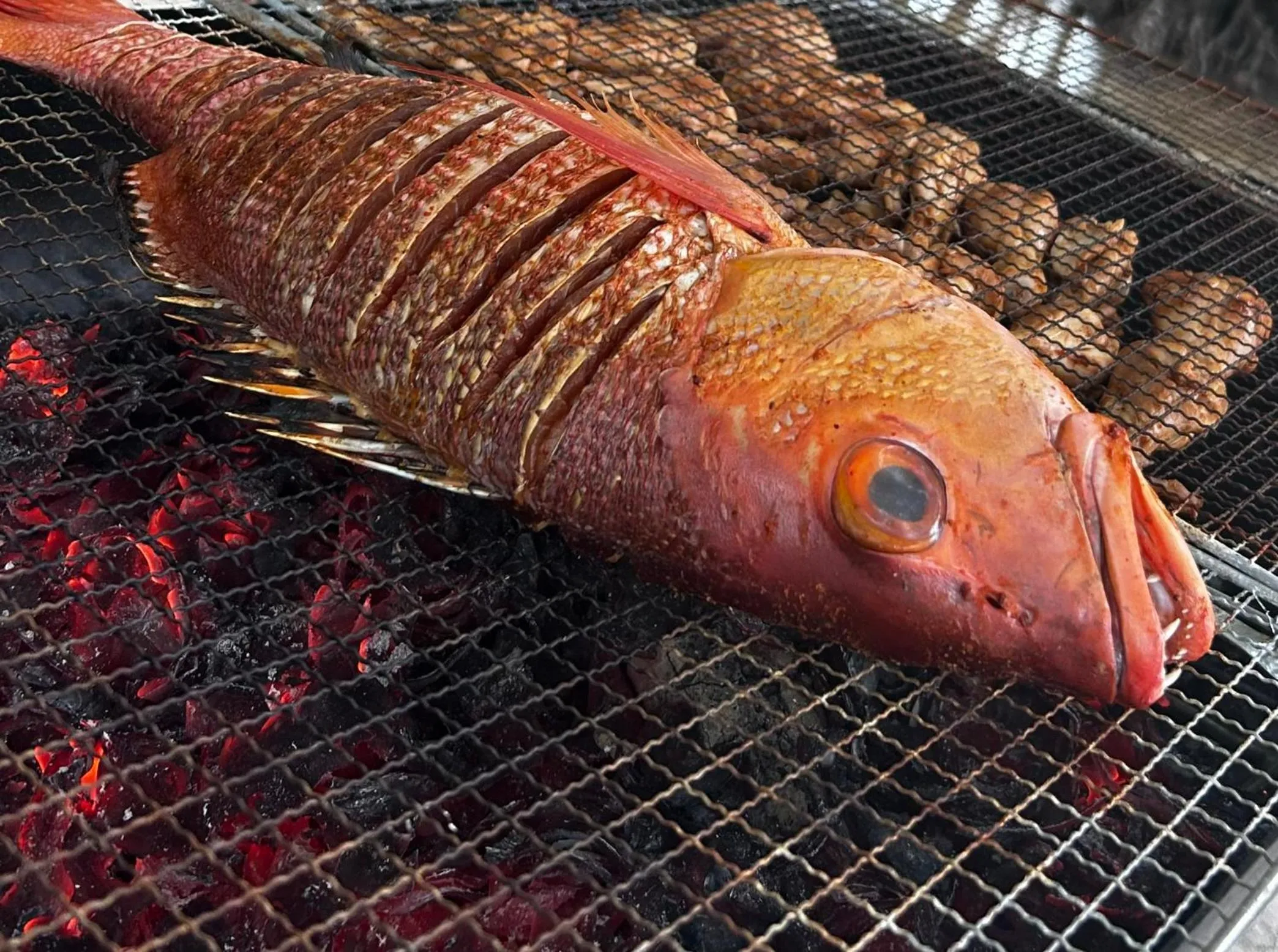 BBQ facilities in FUNPLACE BEACH