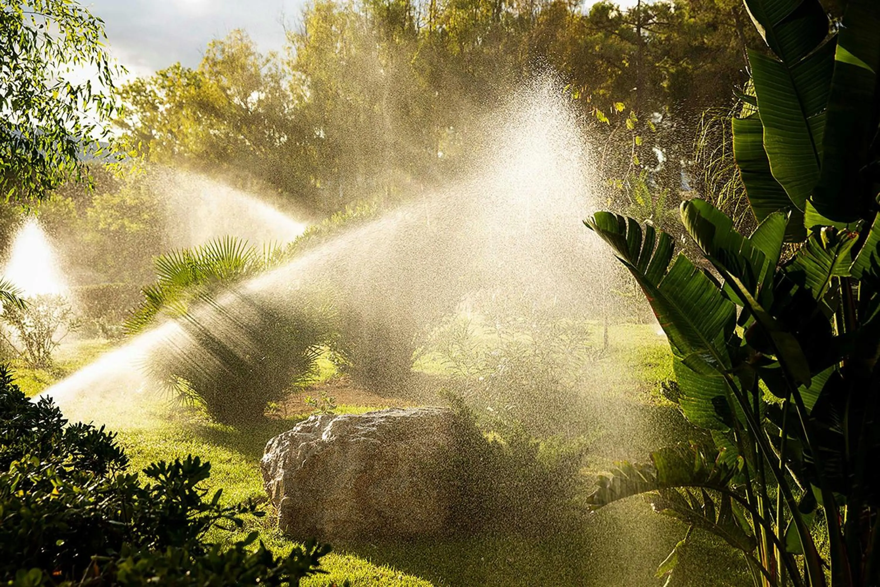 View (from property/room) in Domes Aulūs Zante, All Inclusive, Autograph Collection