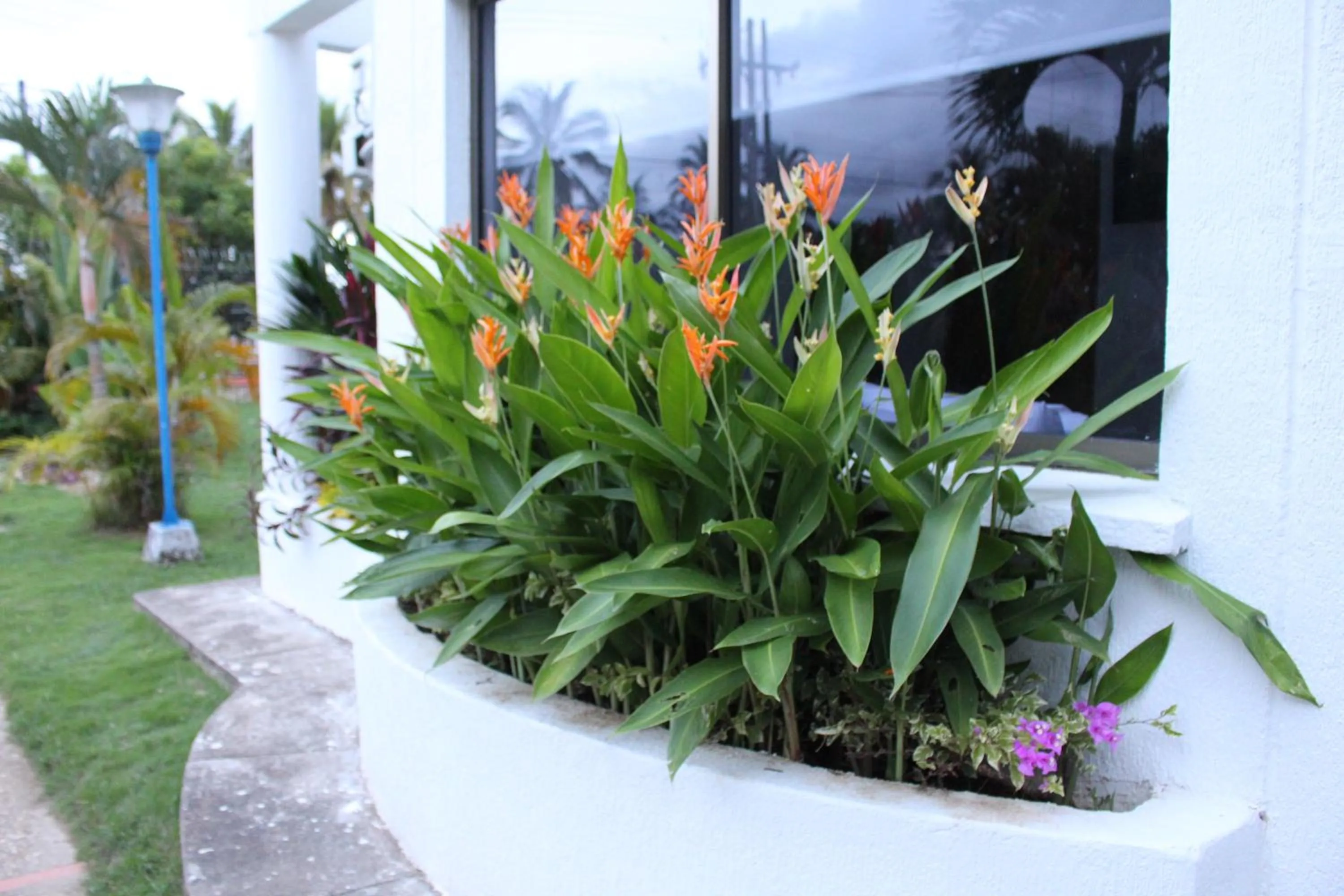 Garden in VAIA HOTELES