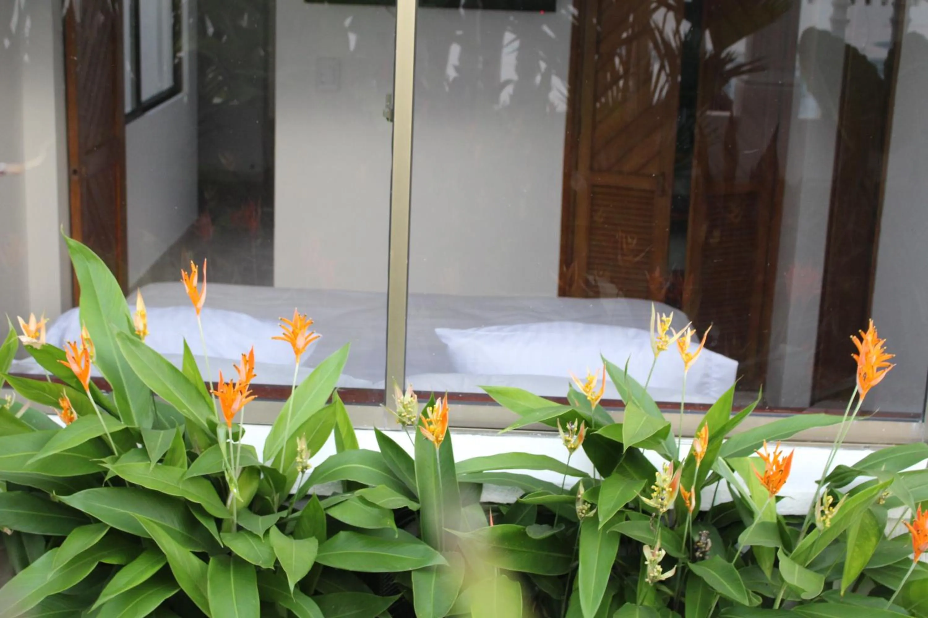 Property building in VAIA HOTELES