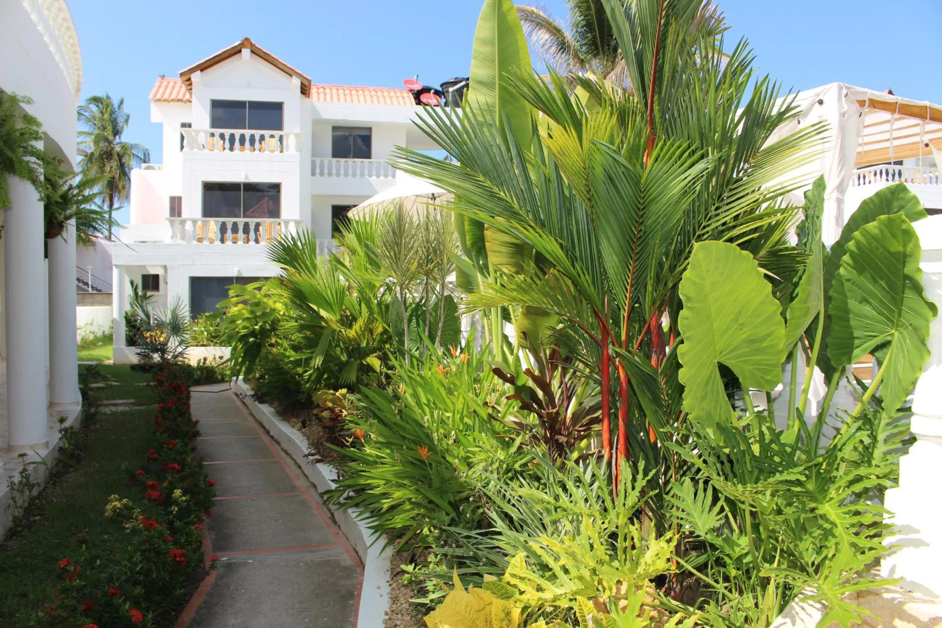 Garden in VAIA HOTELES