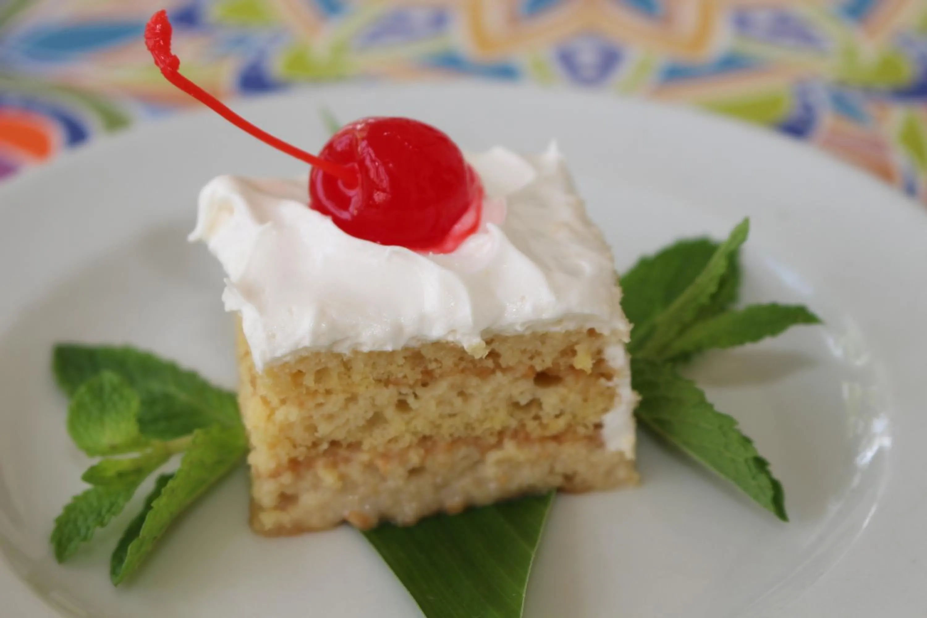 Food and drinks in VAIA HOTELES