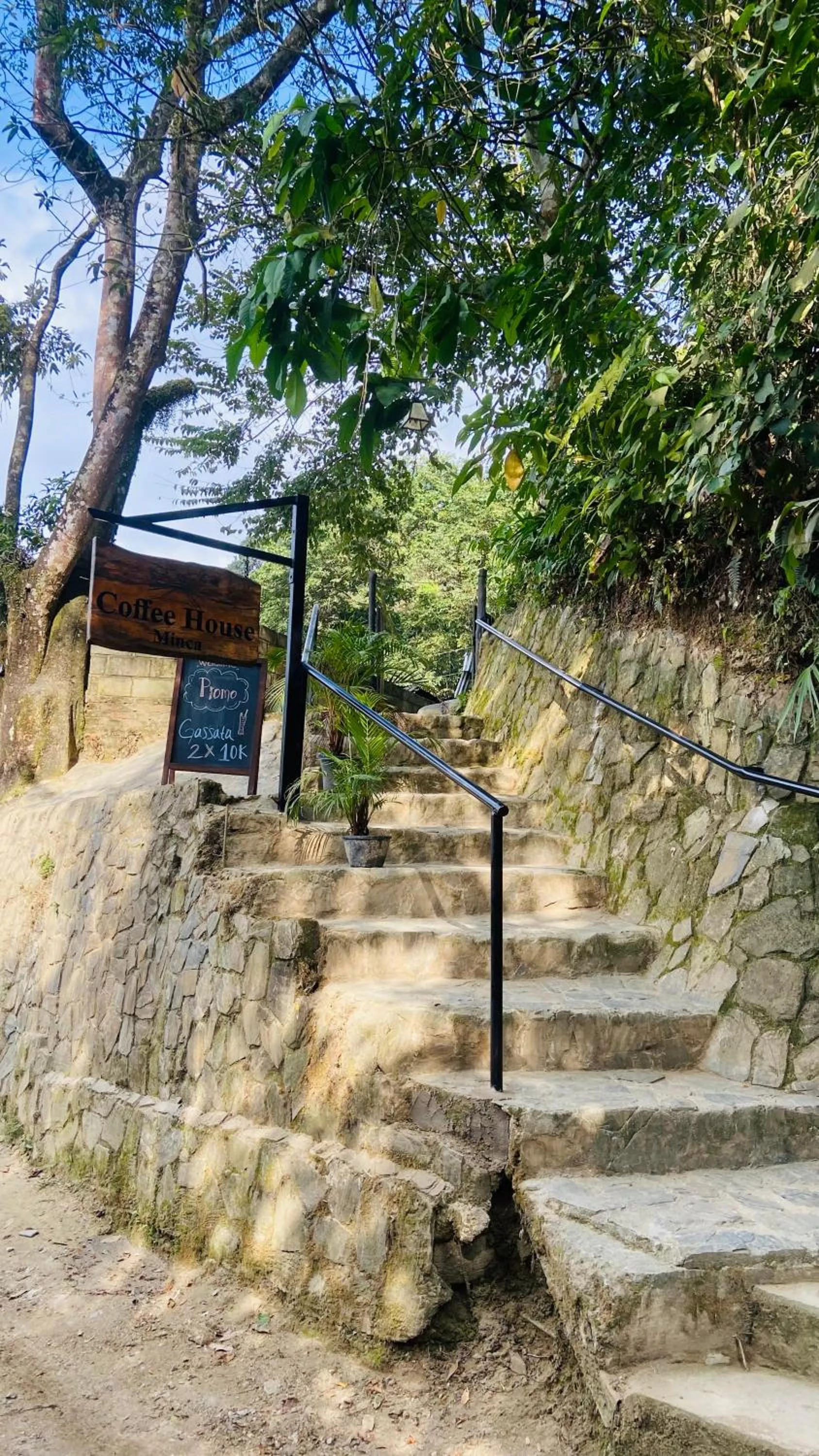 Spring in Coffee House Minca