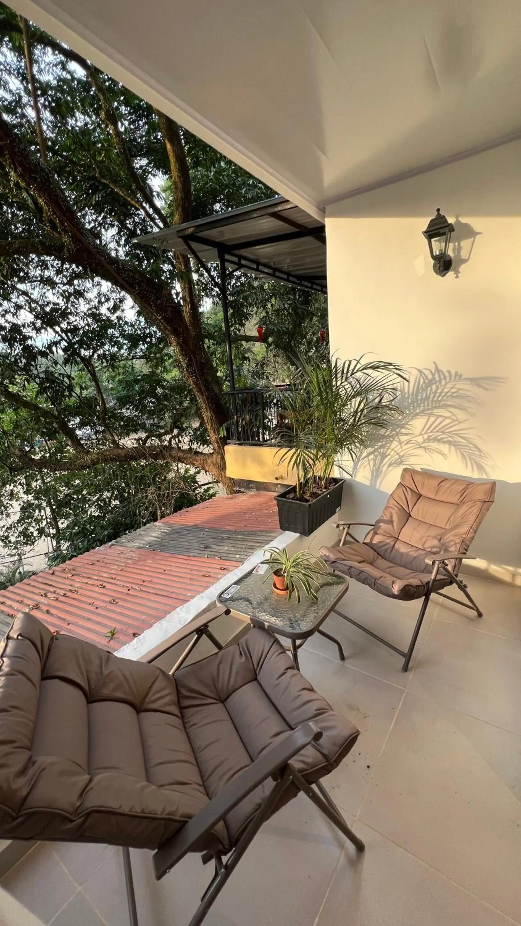 Patio in Coffee House Minca