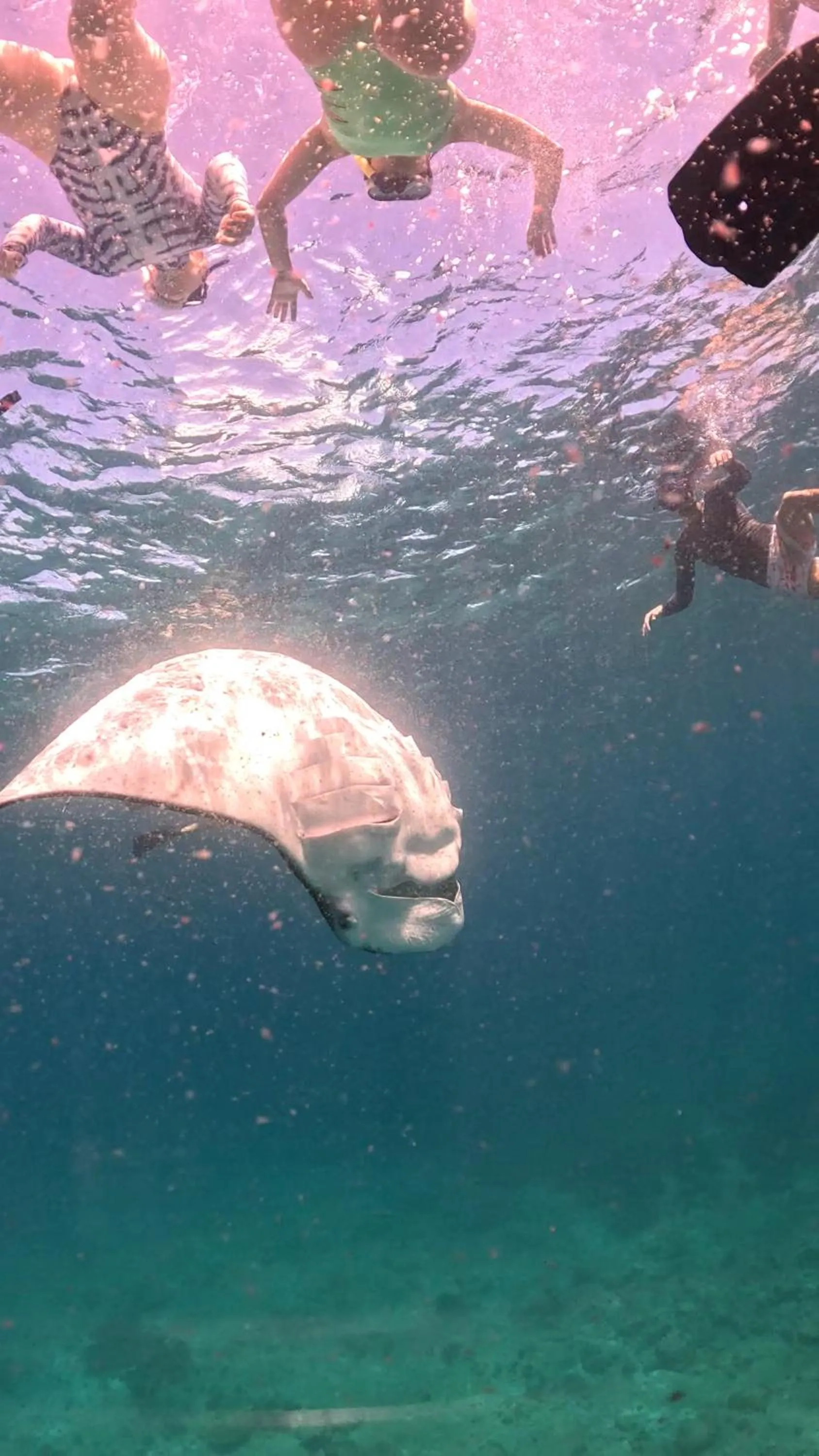 Dhigurah Dhonveli Boutique