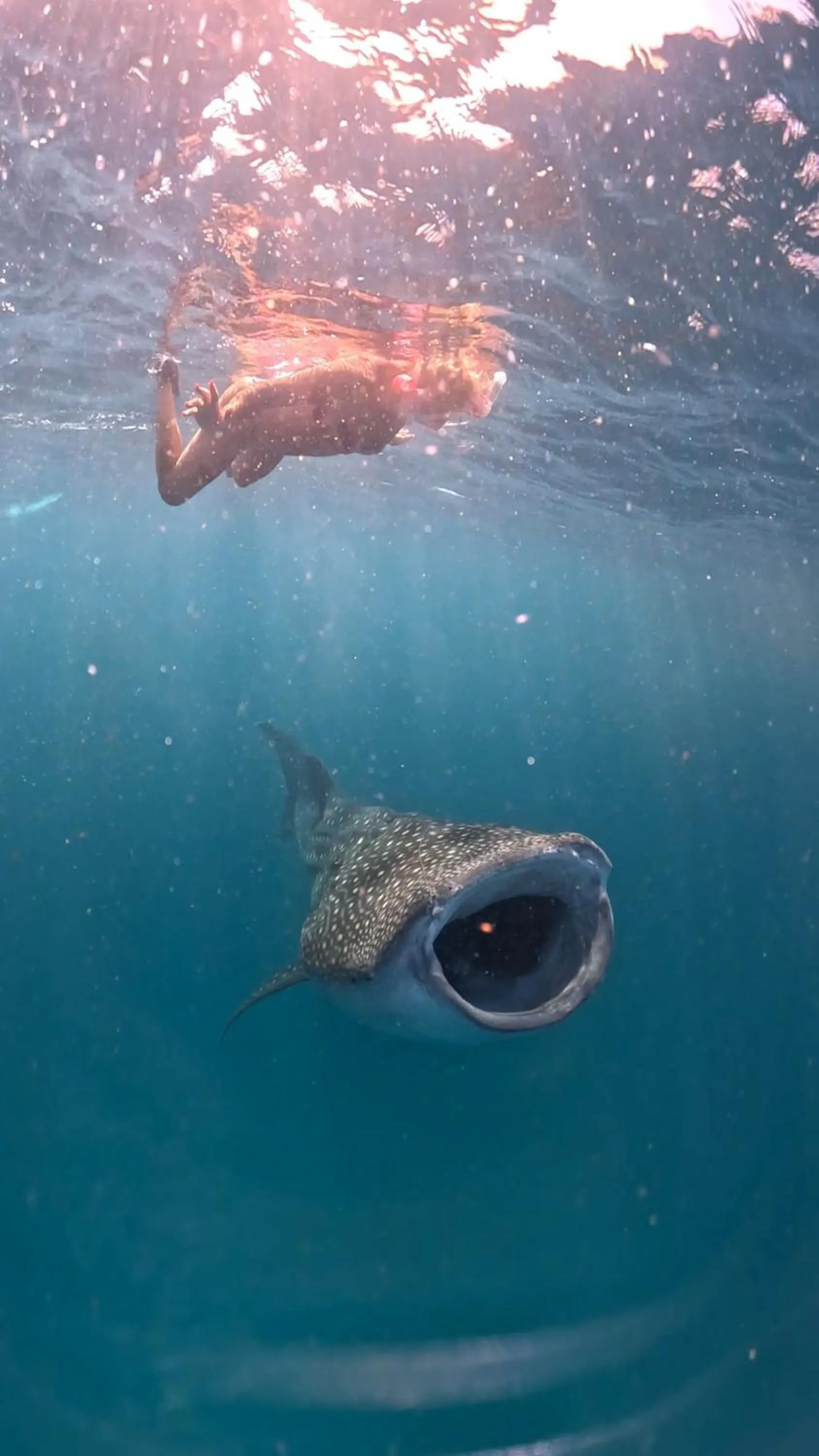 Dhigurah Dhonveli Boutique