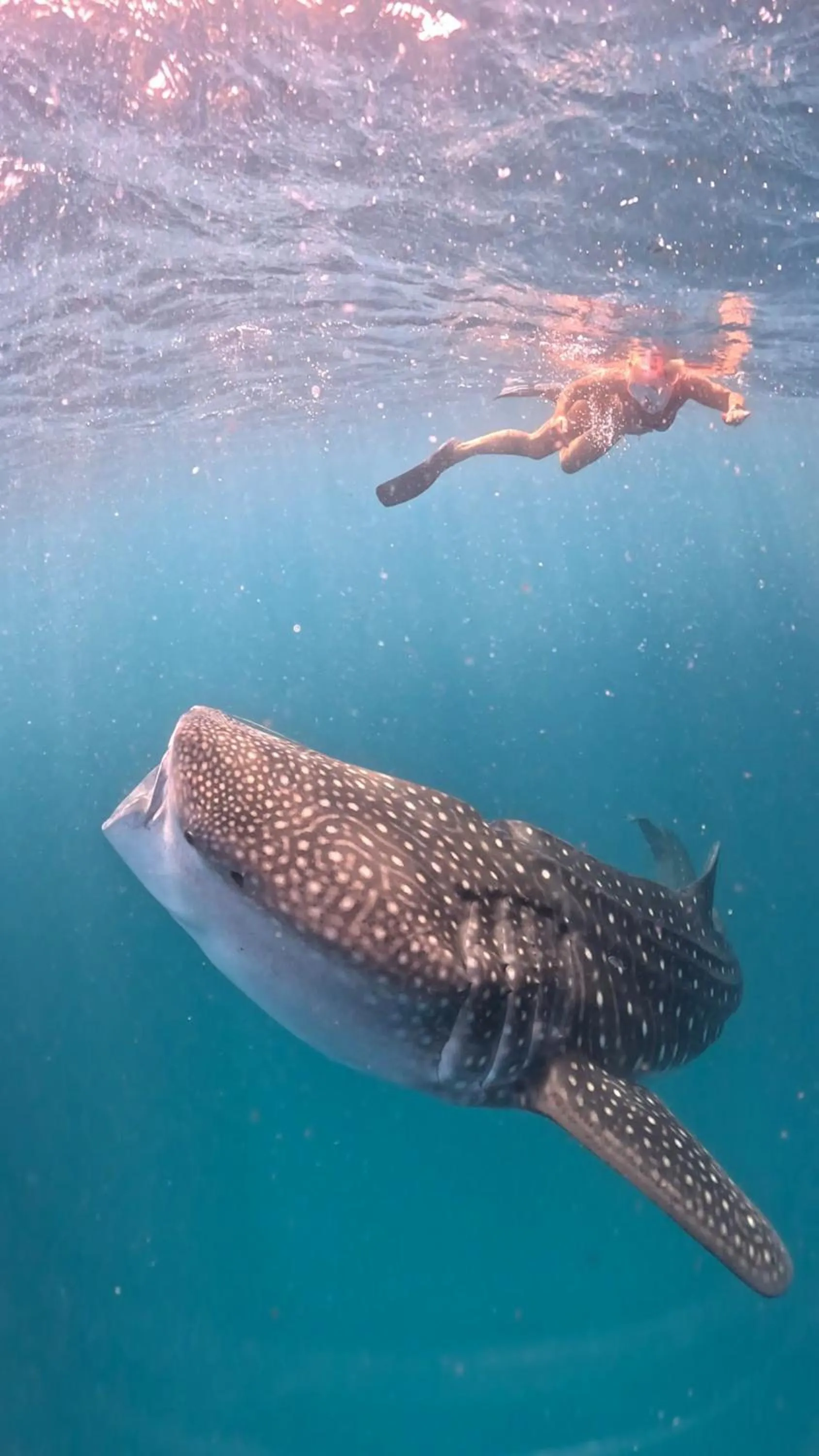 Dhigurah Dhonveli Boutique