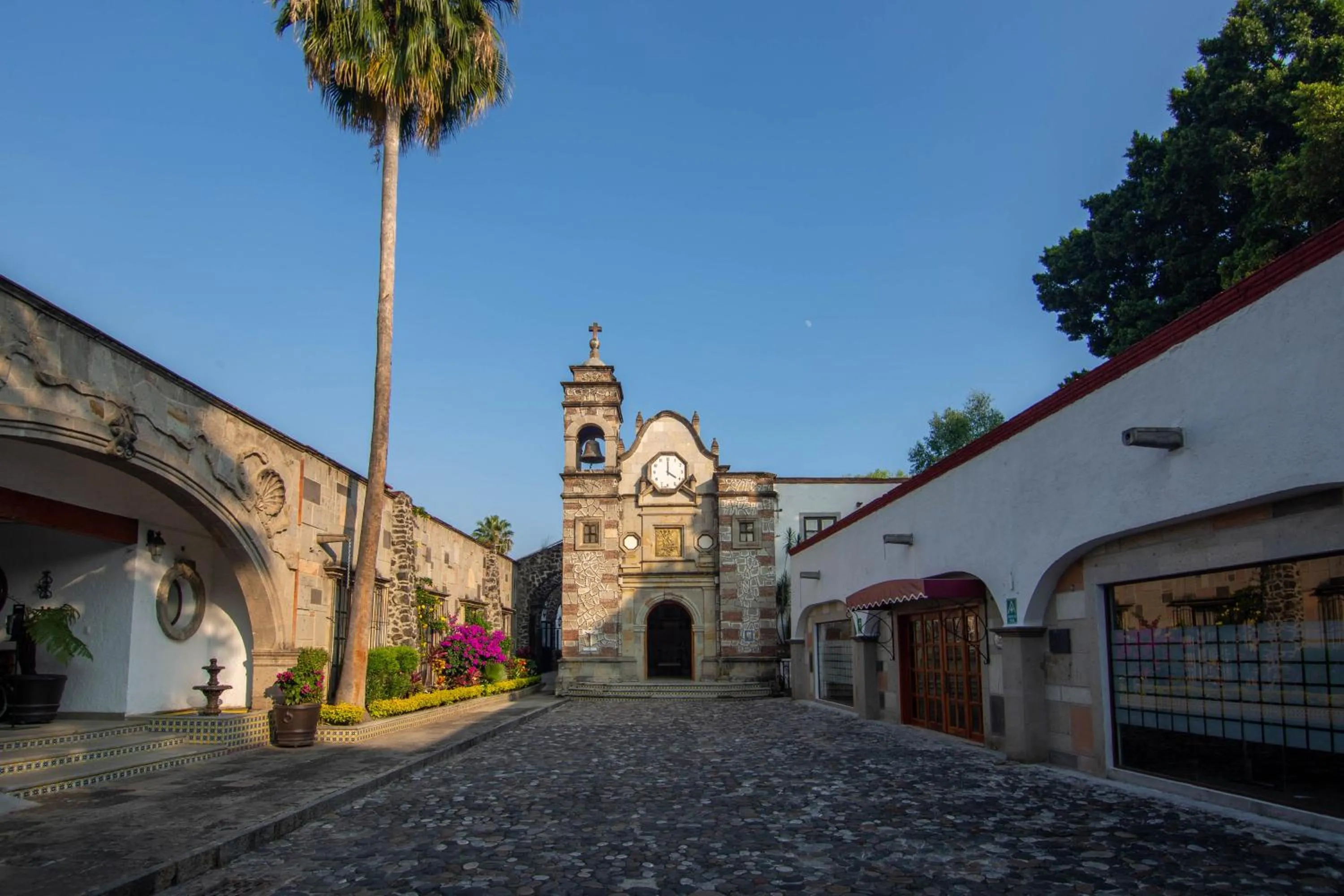 Day in Ex Hacienda Santa Cecilia