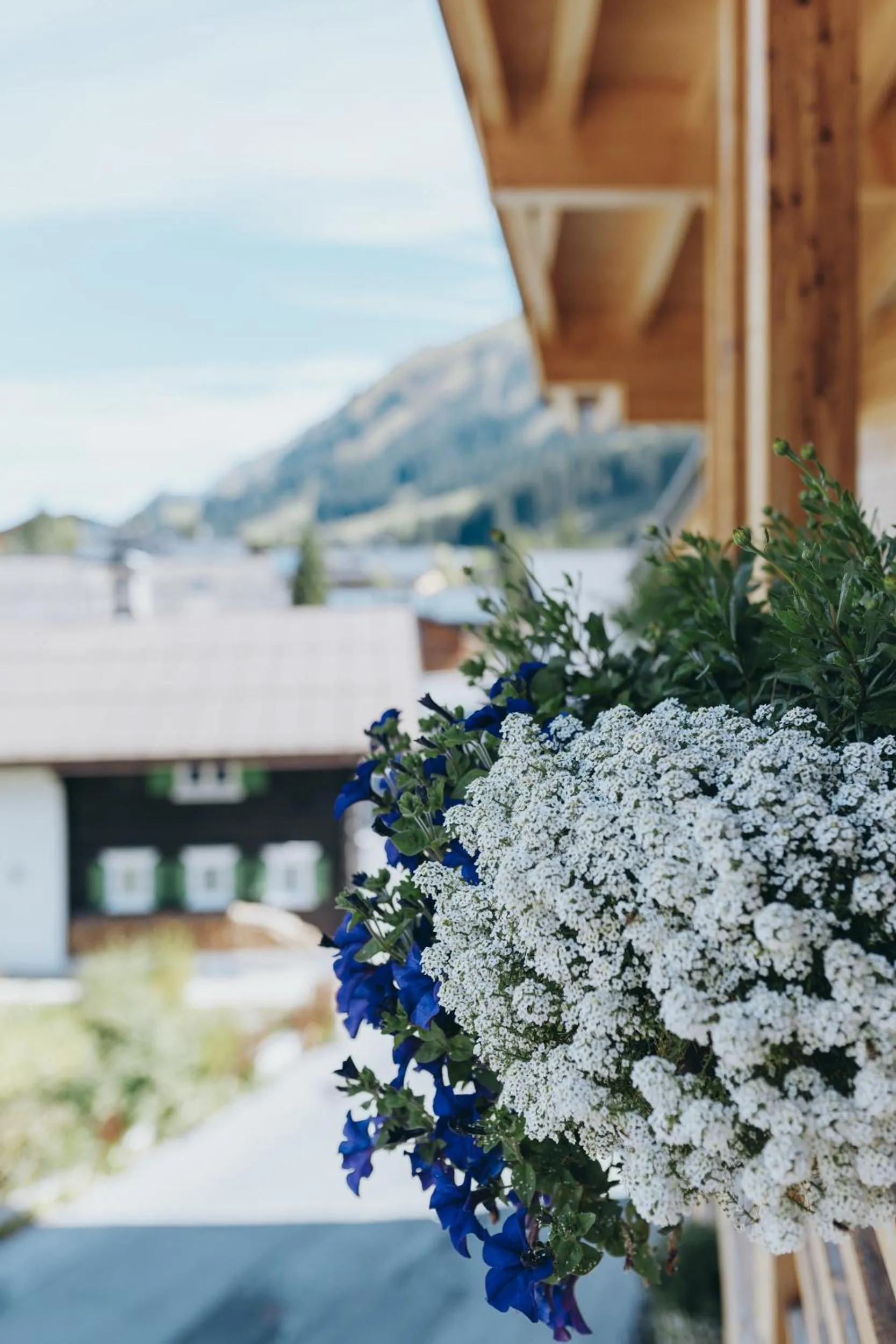 Spring in Apart-Hotel Laurus Lech