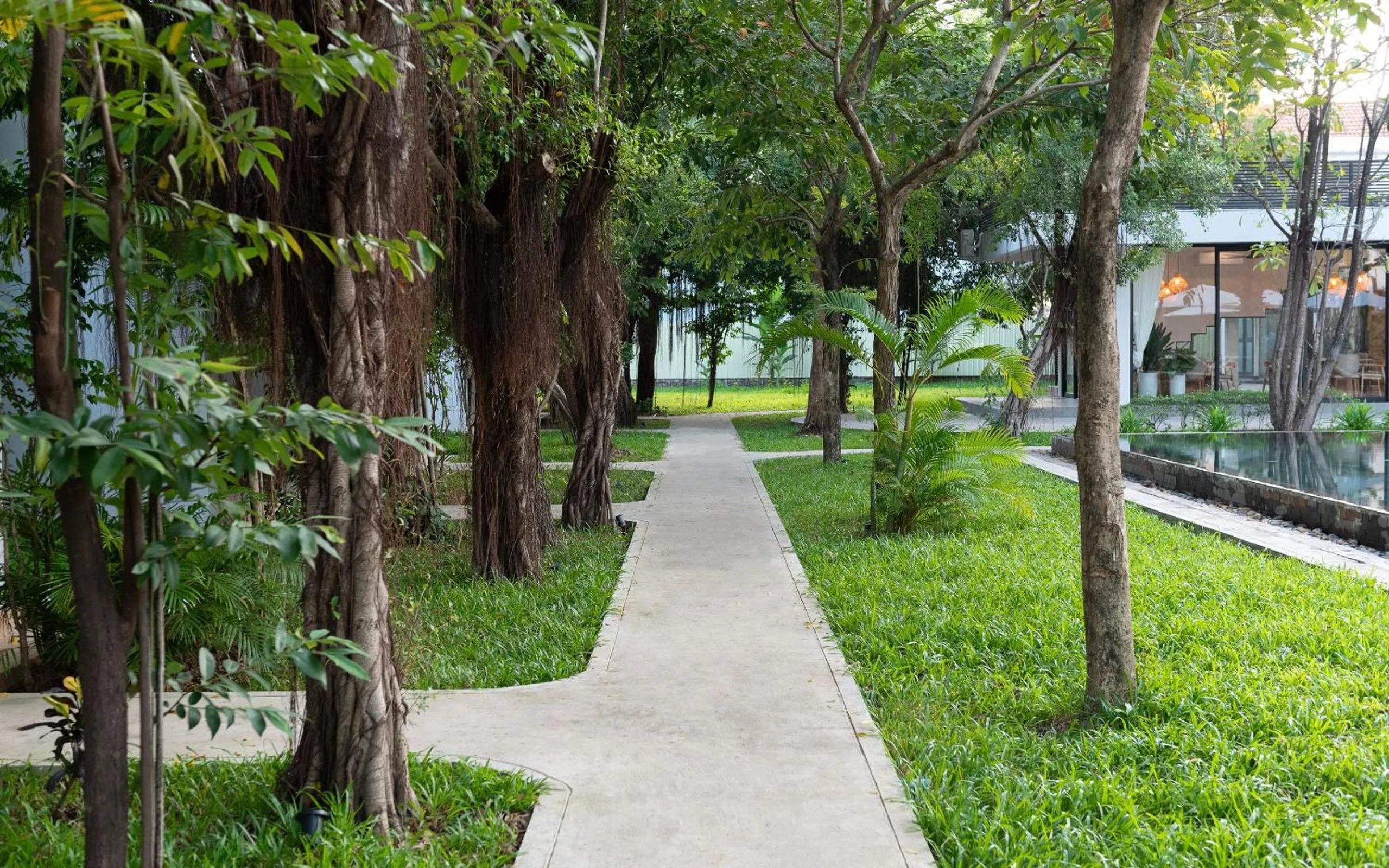 Natural landscape in The Elephant