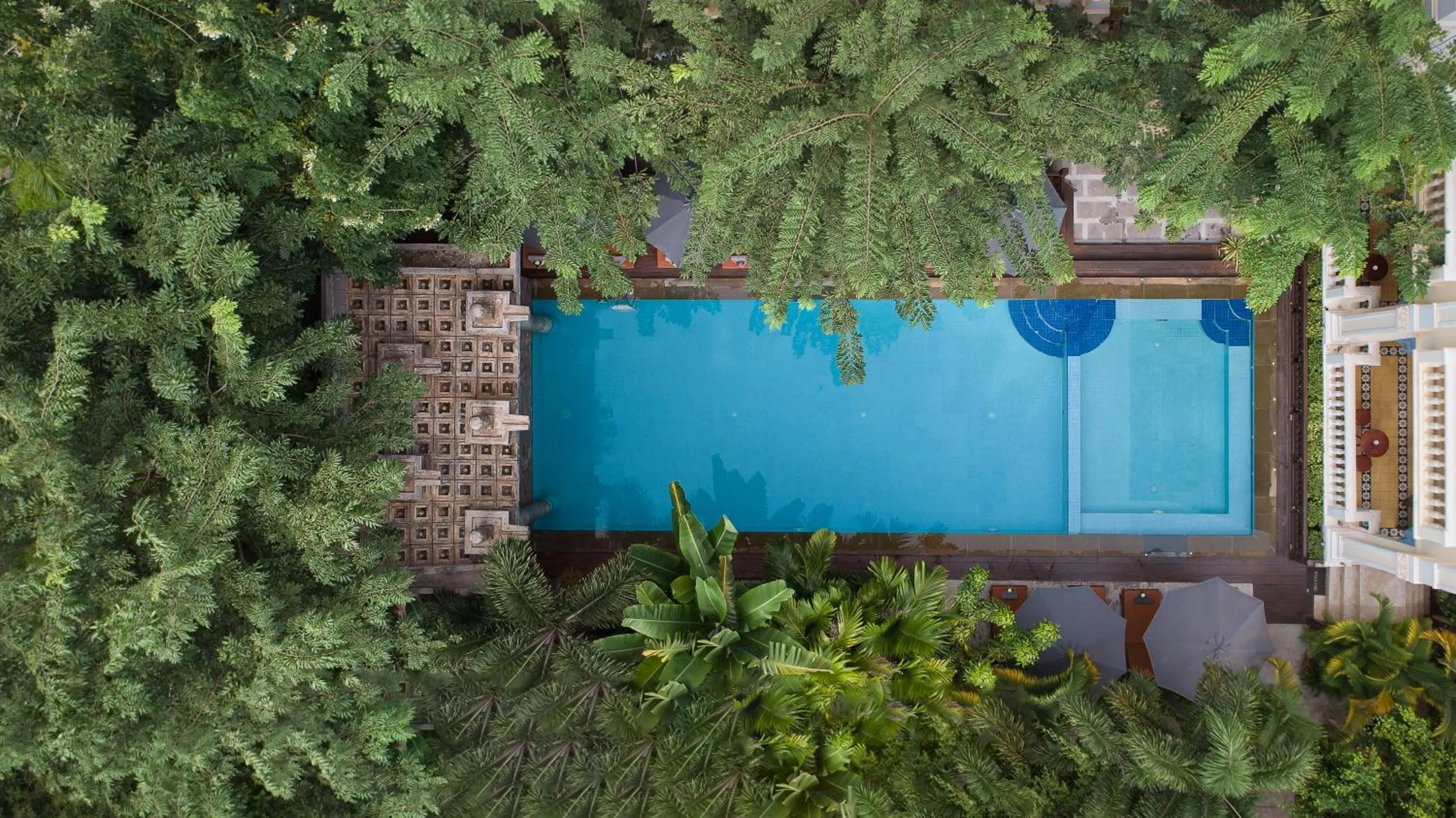 Swimming pool in The Elephant