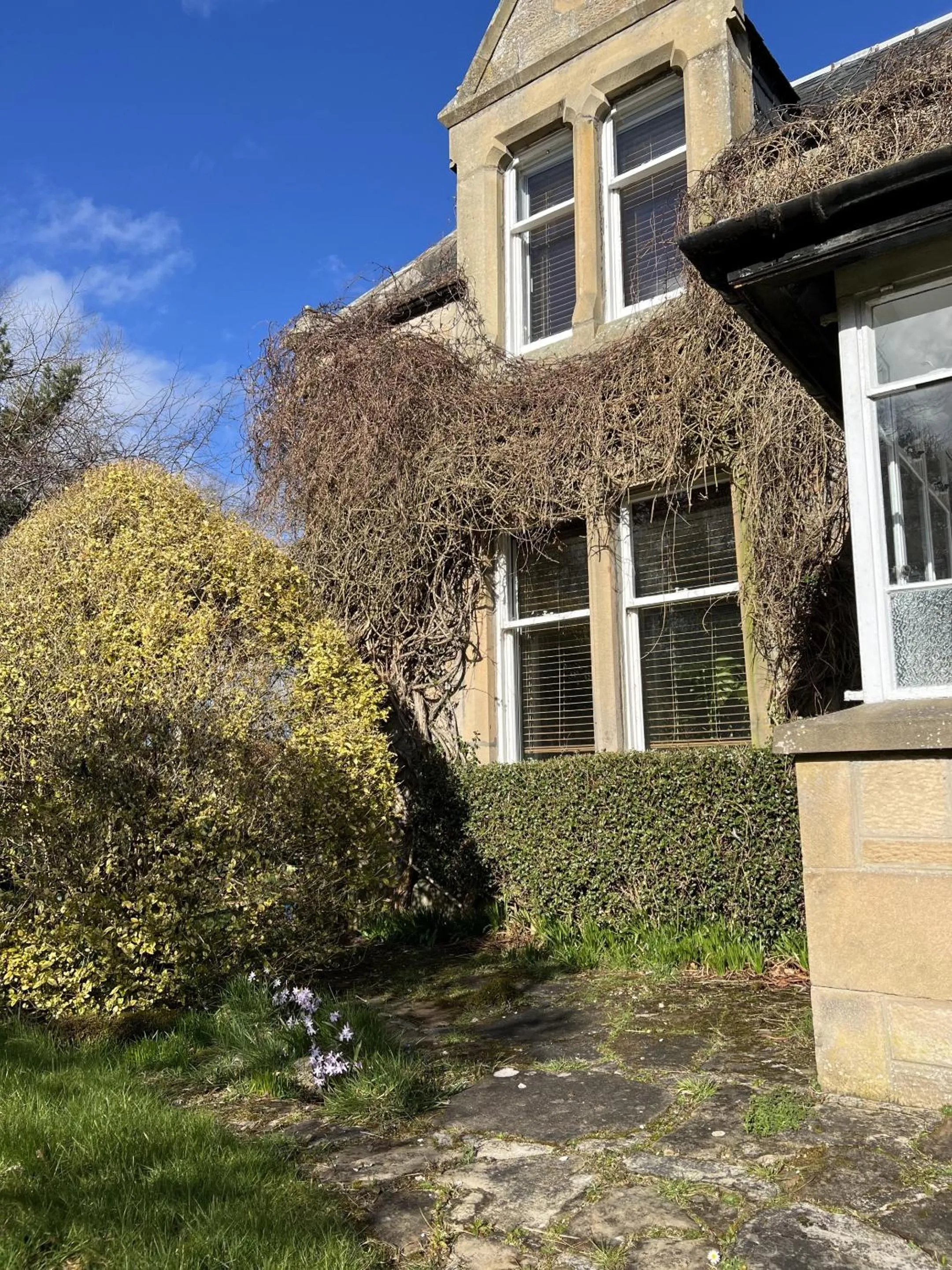Garden in St Duthus Villa Guesthouse
