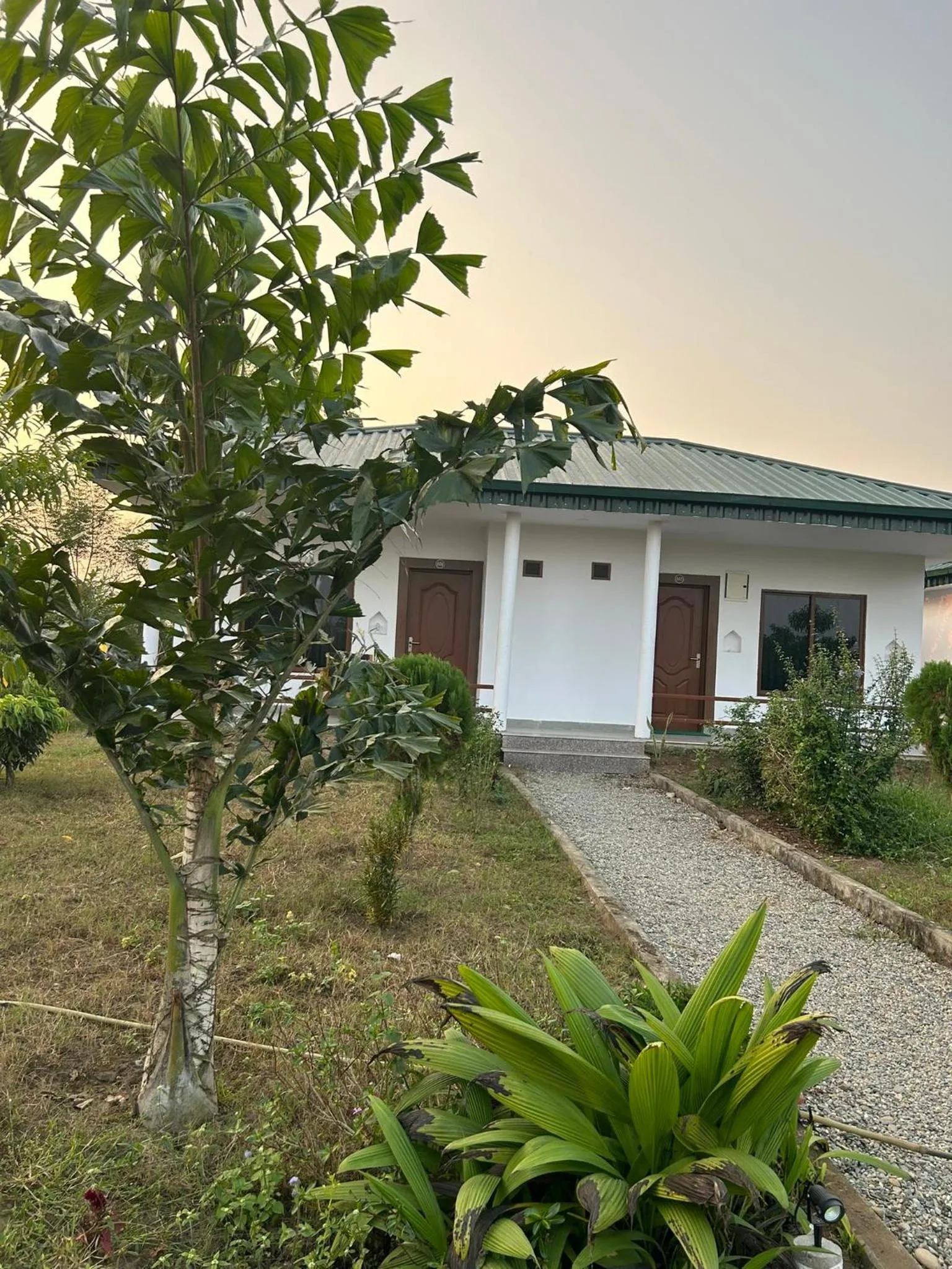 Tiger Wildlife Resort