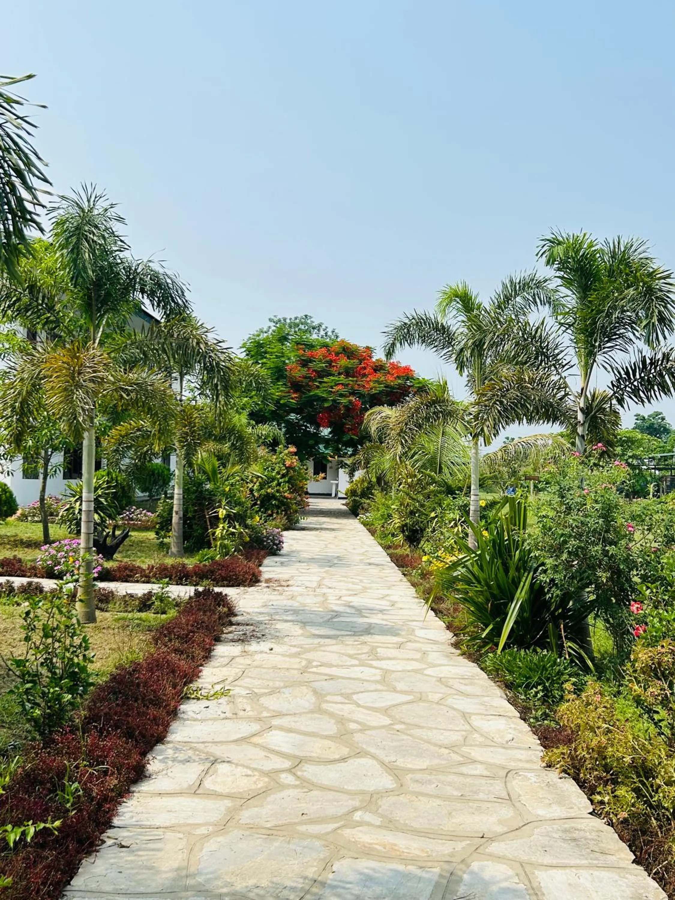 Tiger Wildlife Resort