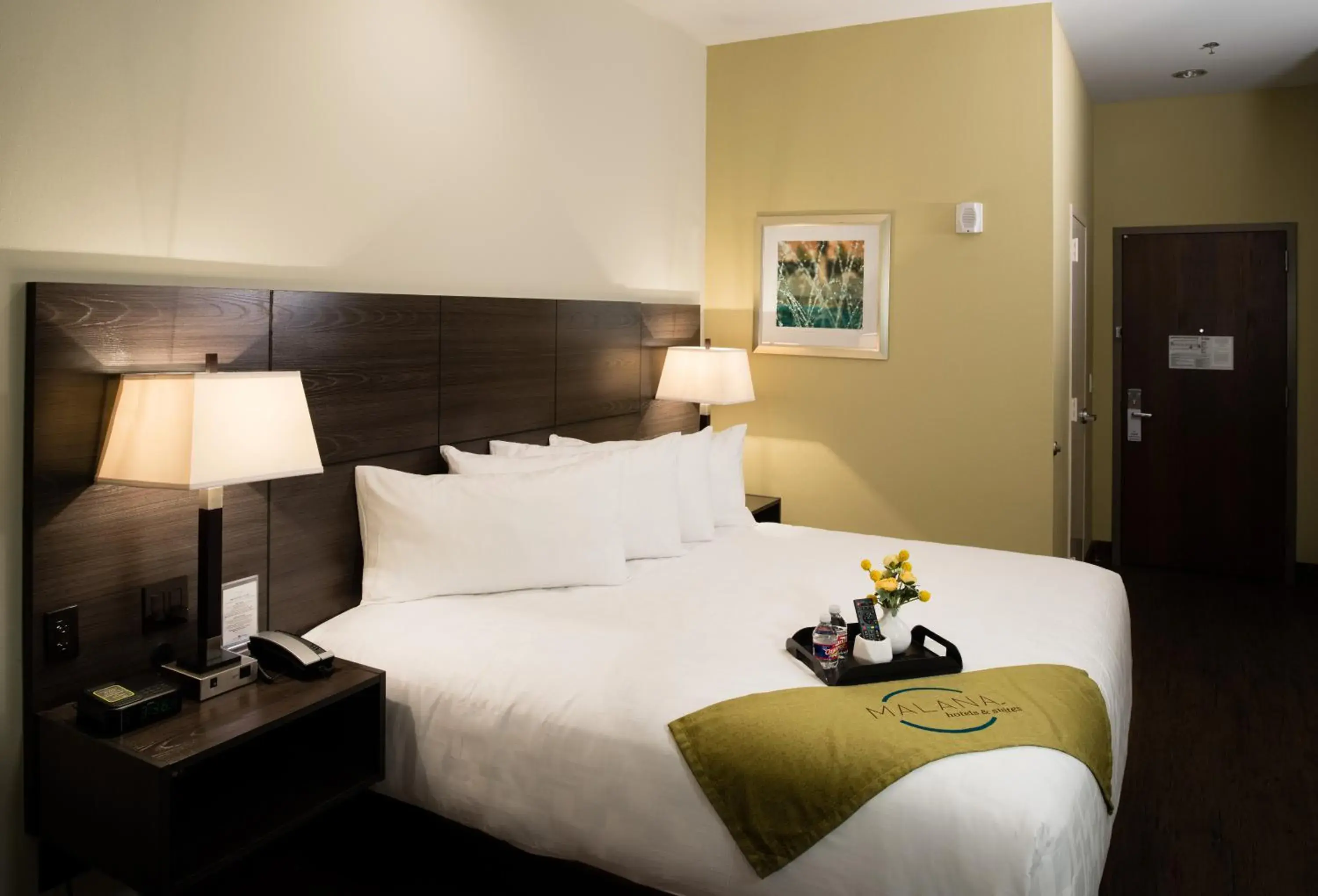 Malana Hotels & Suites Malana Hotels & Suites