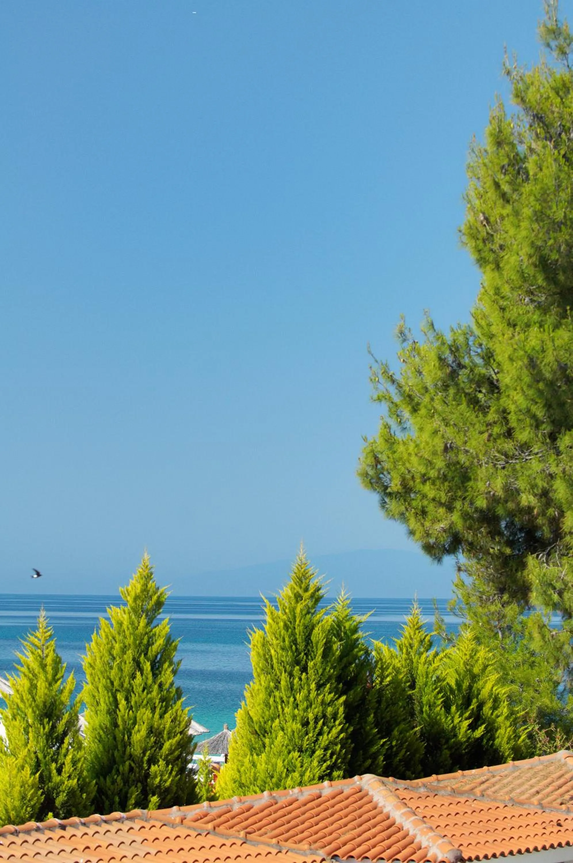 Day in Portes Beach Hotel