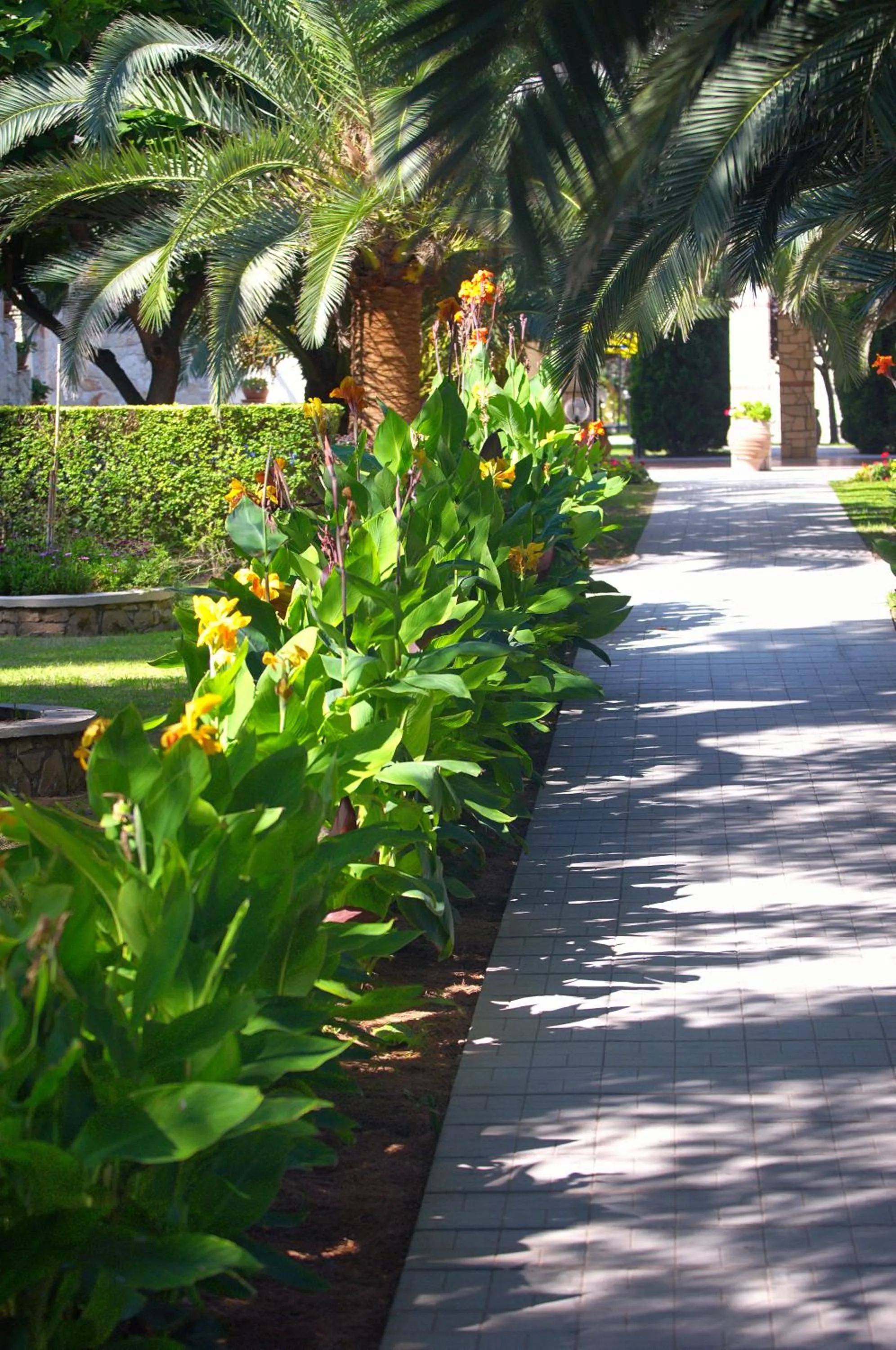 Garden in Portes Beach Hotel