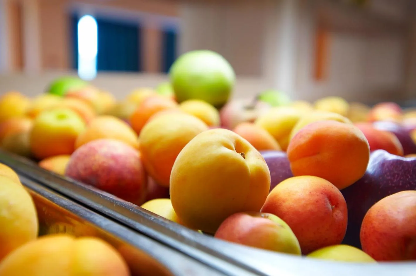 Food in Portes Beach Hotel