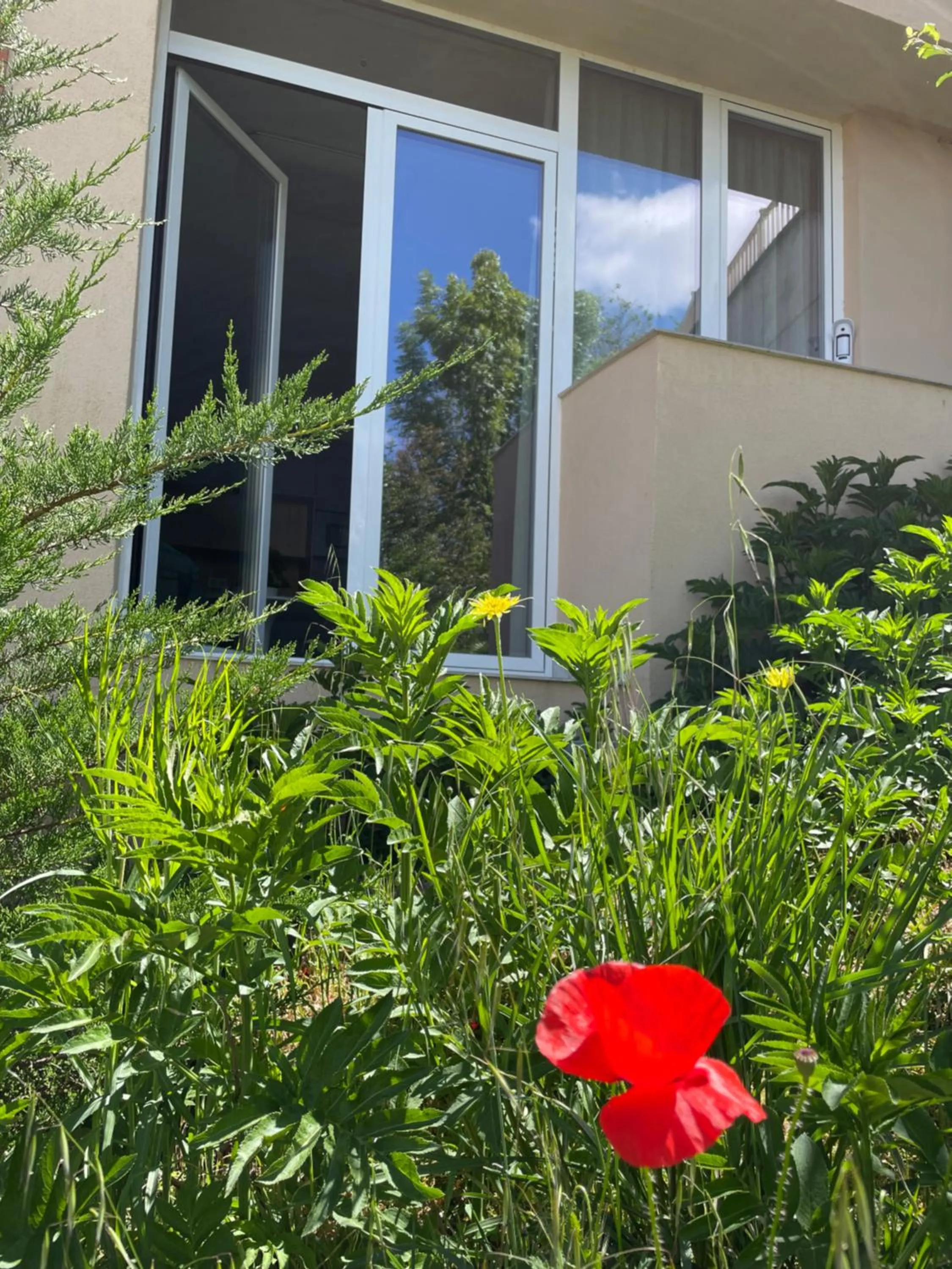 Garden in Aljama Burgos