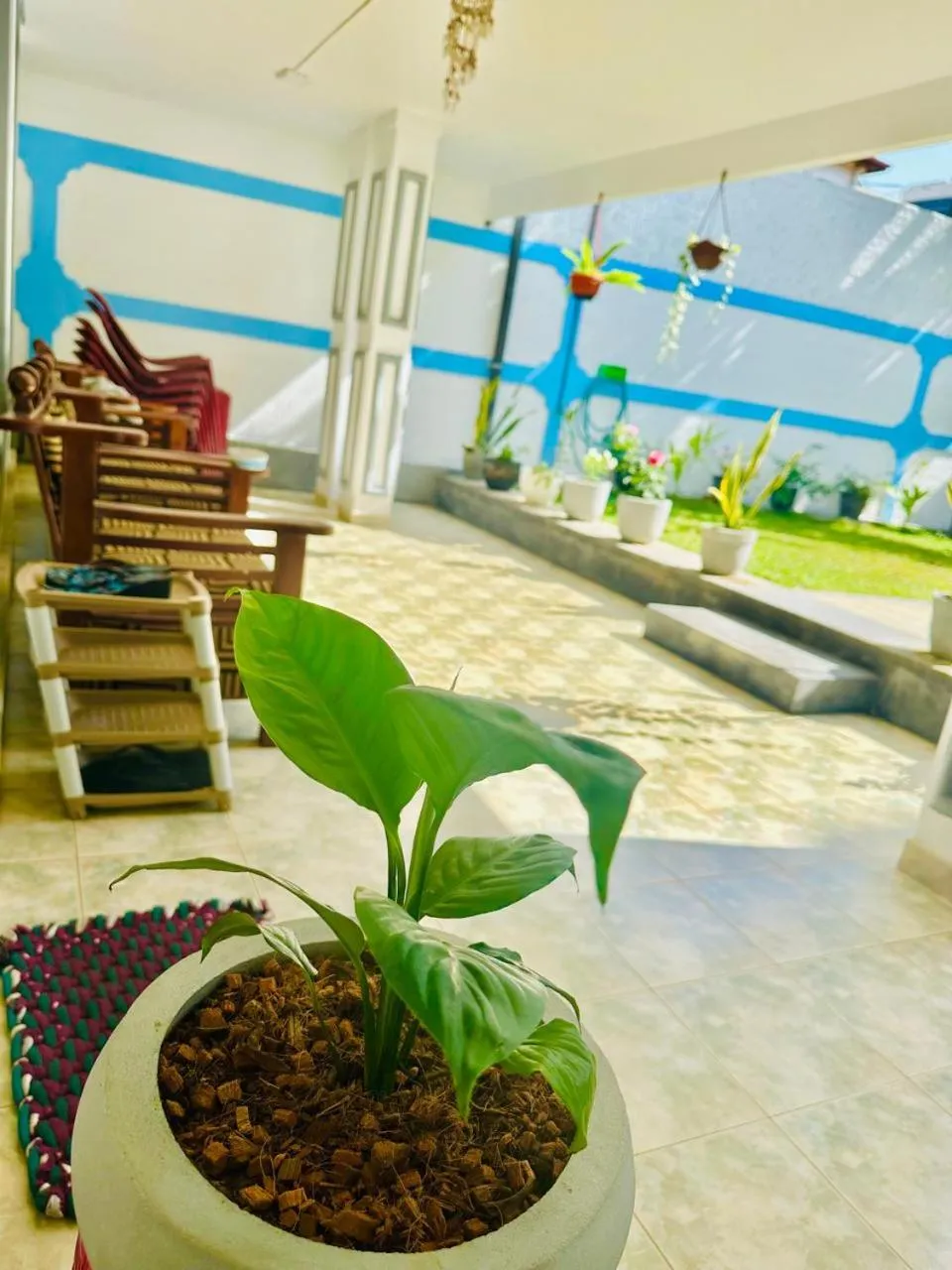 Seating area in Sea Breeze Guest House Negombo