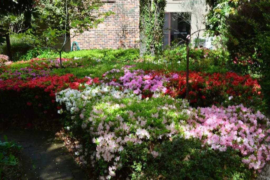 Garden view in Cloudland Garden Oasis
