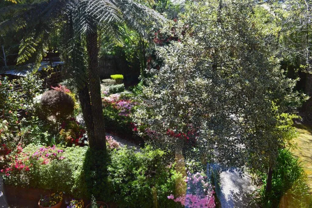 Garden view in Cloudland Garden Oasis