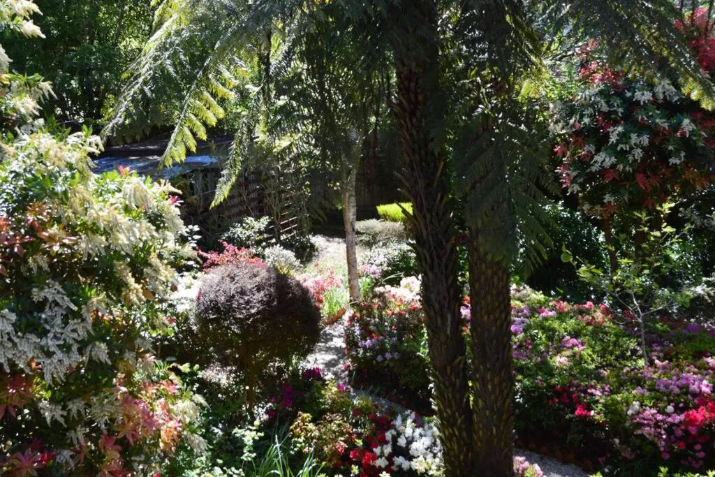 Garden view in Cloudland Garden Oasis