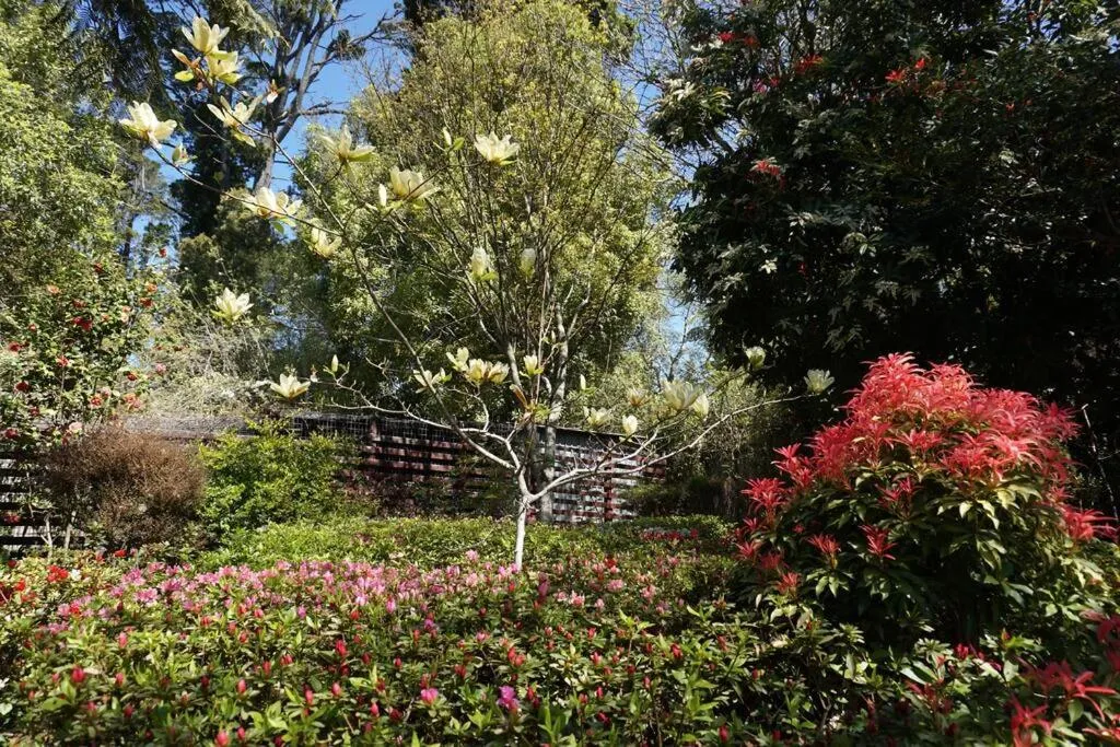 Garden in Cloudland Garden Oasis