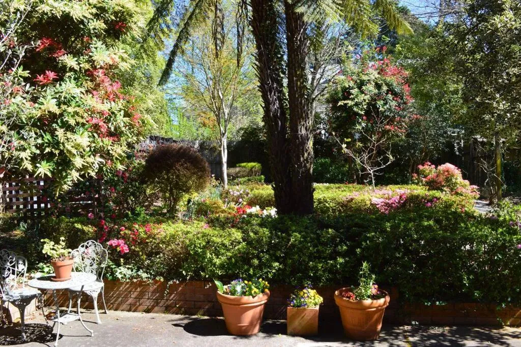 Garden in Cloudland Garden Oasis